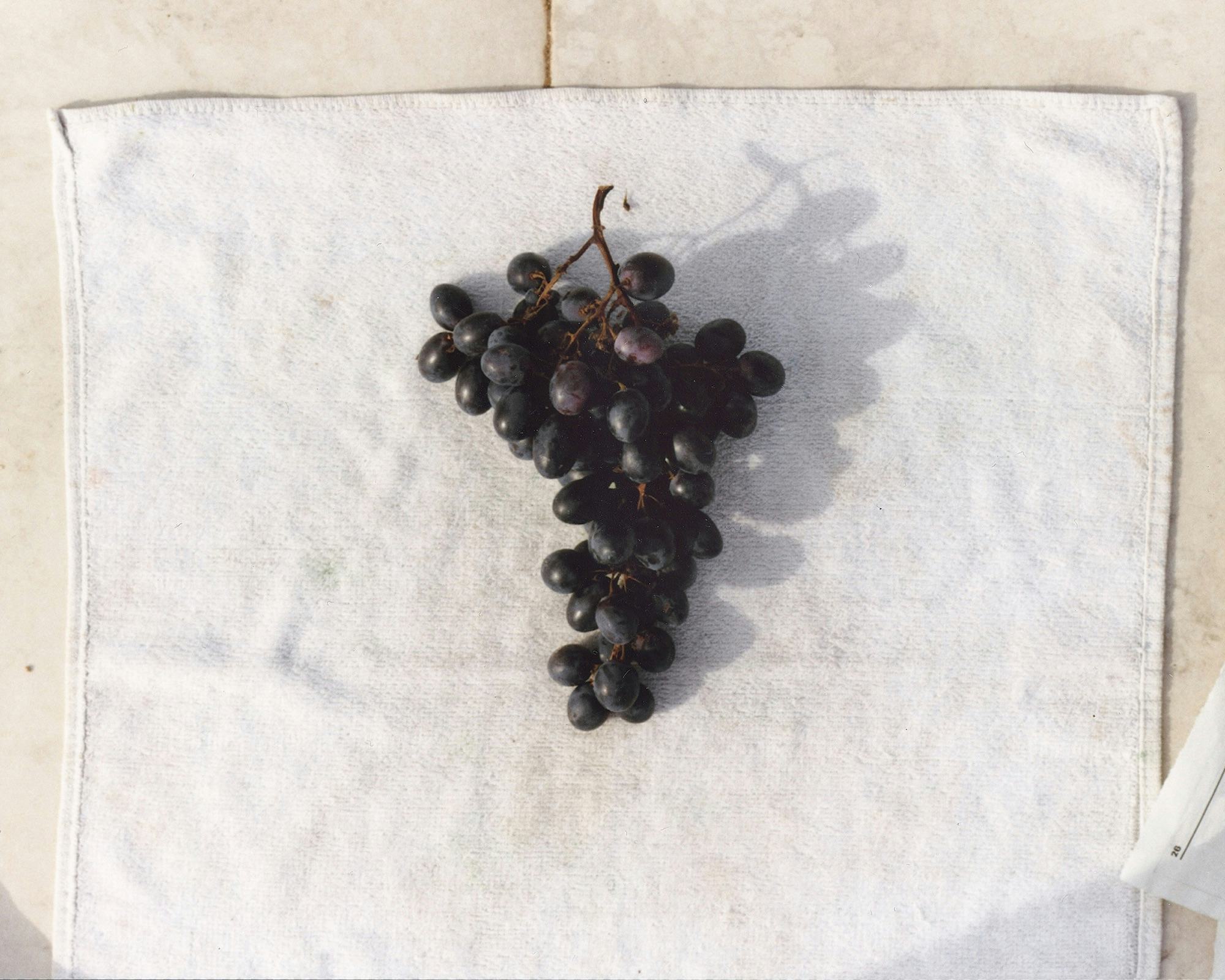 Image of blue grapes on a white cloth. © Felipe Romero Beltrán