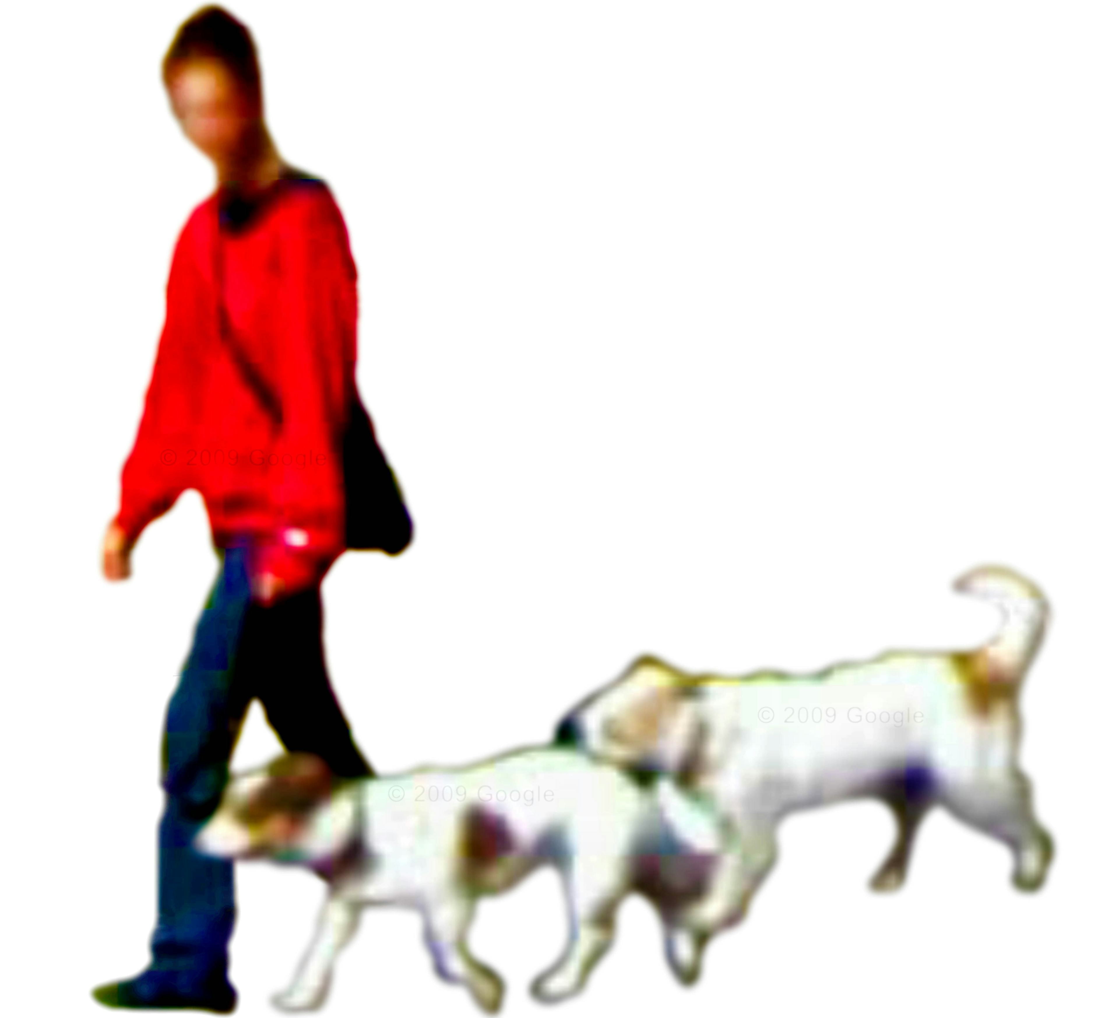Blurry image of man with dogs walking