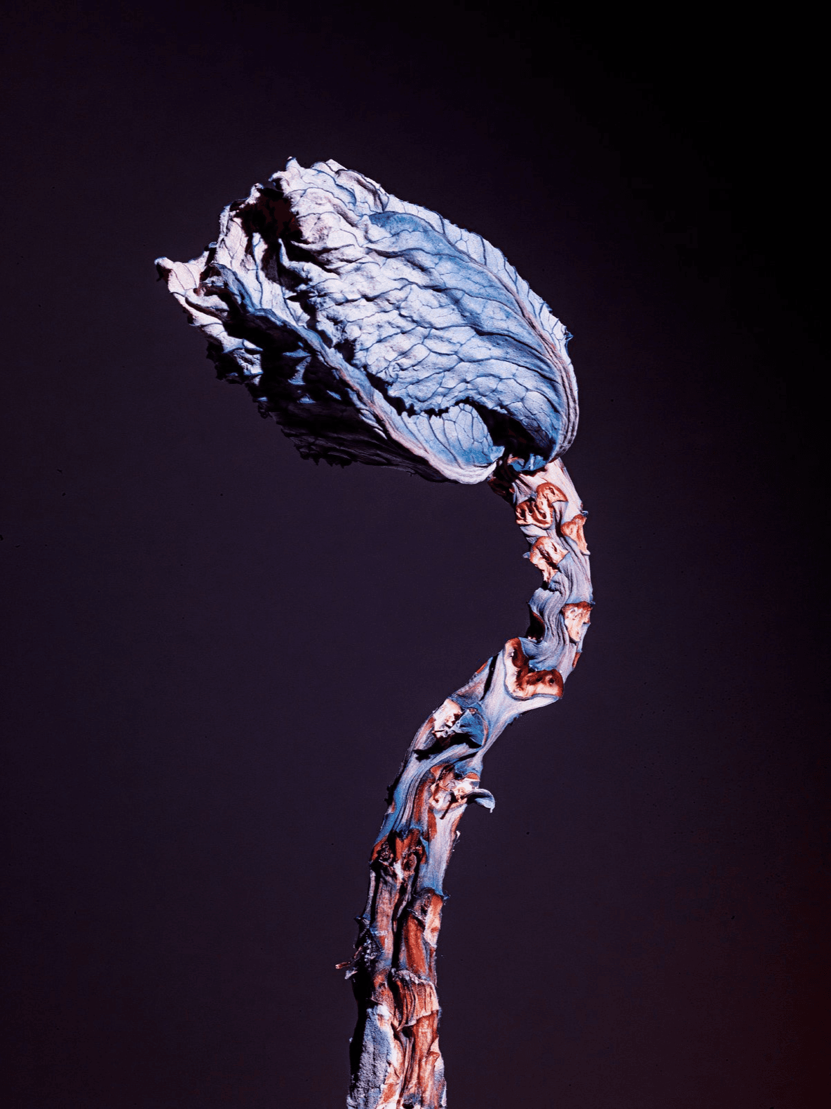 artwork 1
