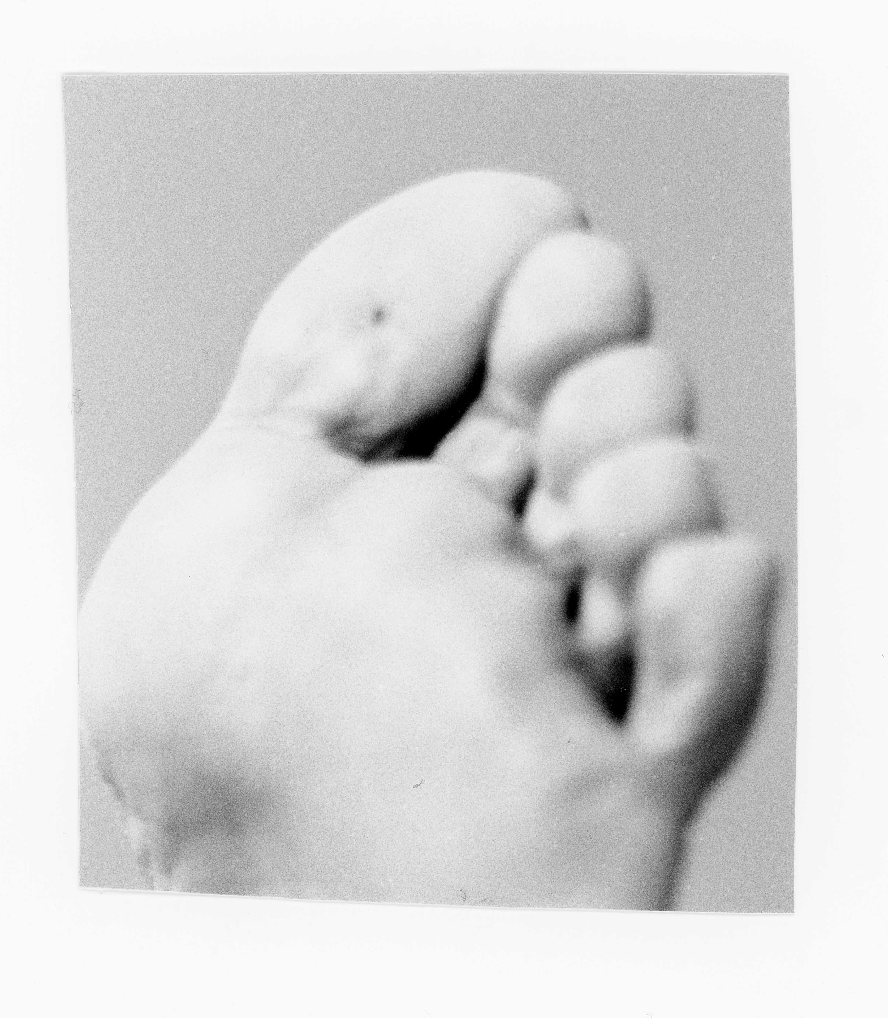 Close-up black and white image of the bottom of a foot. © Eleonora Agostini