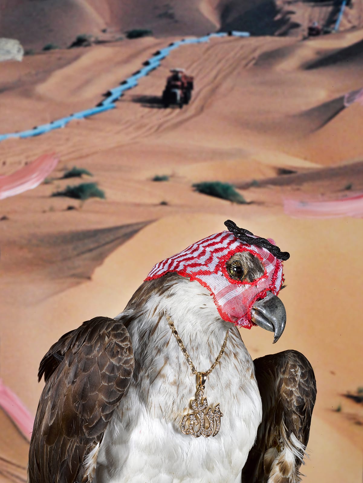 A falcon wearing a red and white hood and a gold necklace stands in front of a desert landscape with sand dunes and a distant vehicle.