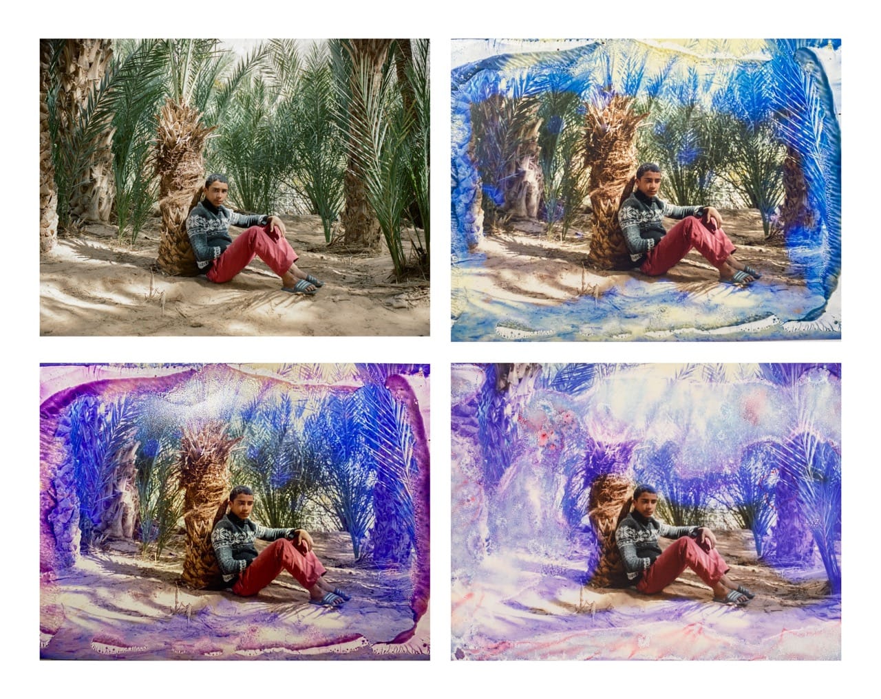 Person sitting against a palm tree in a desert, shown in four variations with different colorful artistic effects.