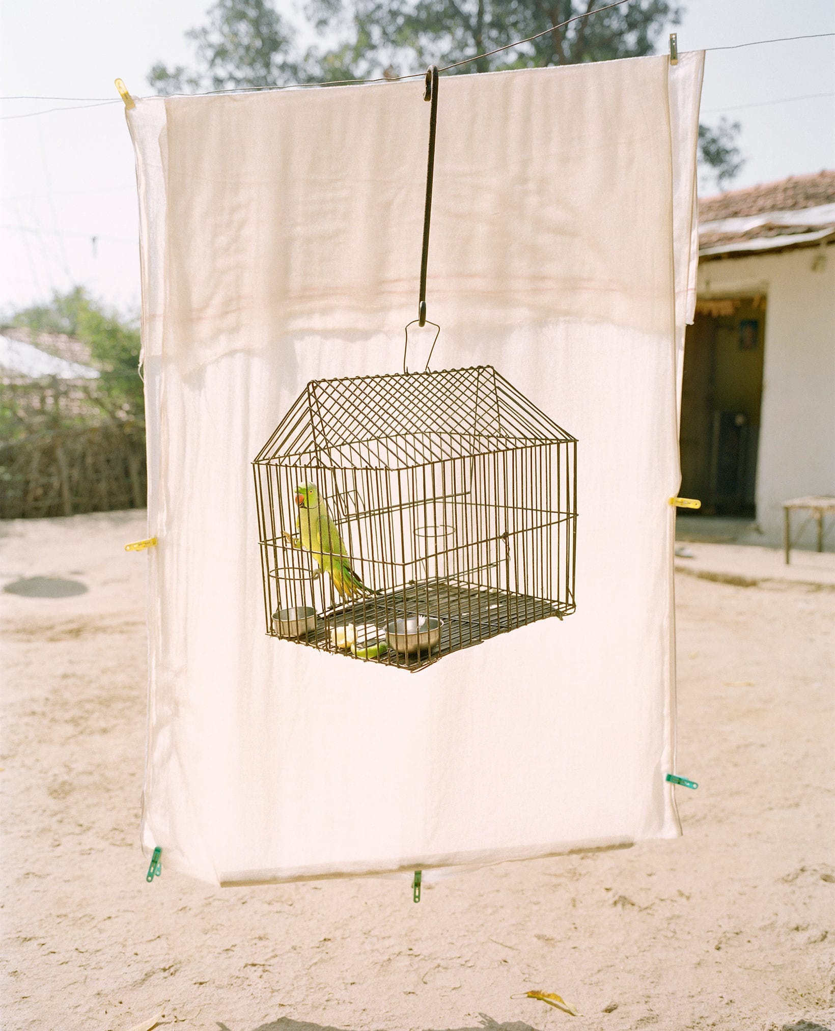 Een vogelkooi hangend voor een ecru-gekleurd doek.