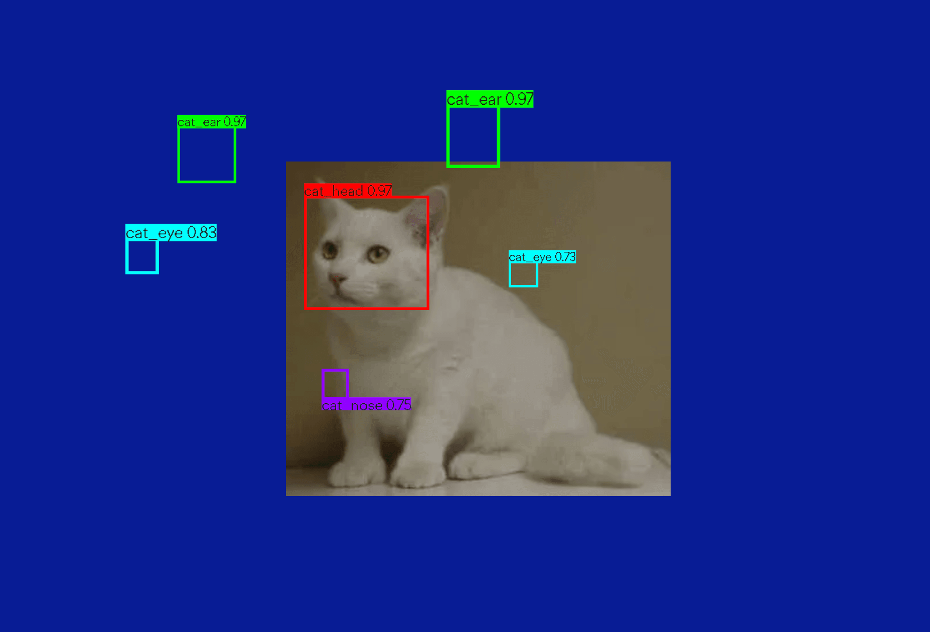 Image of a cat on a blue background with coloured labels