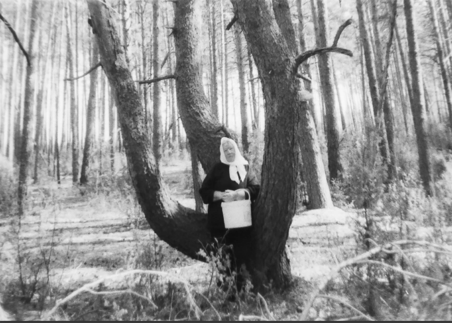 Grandma on tree branch
