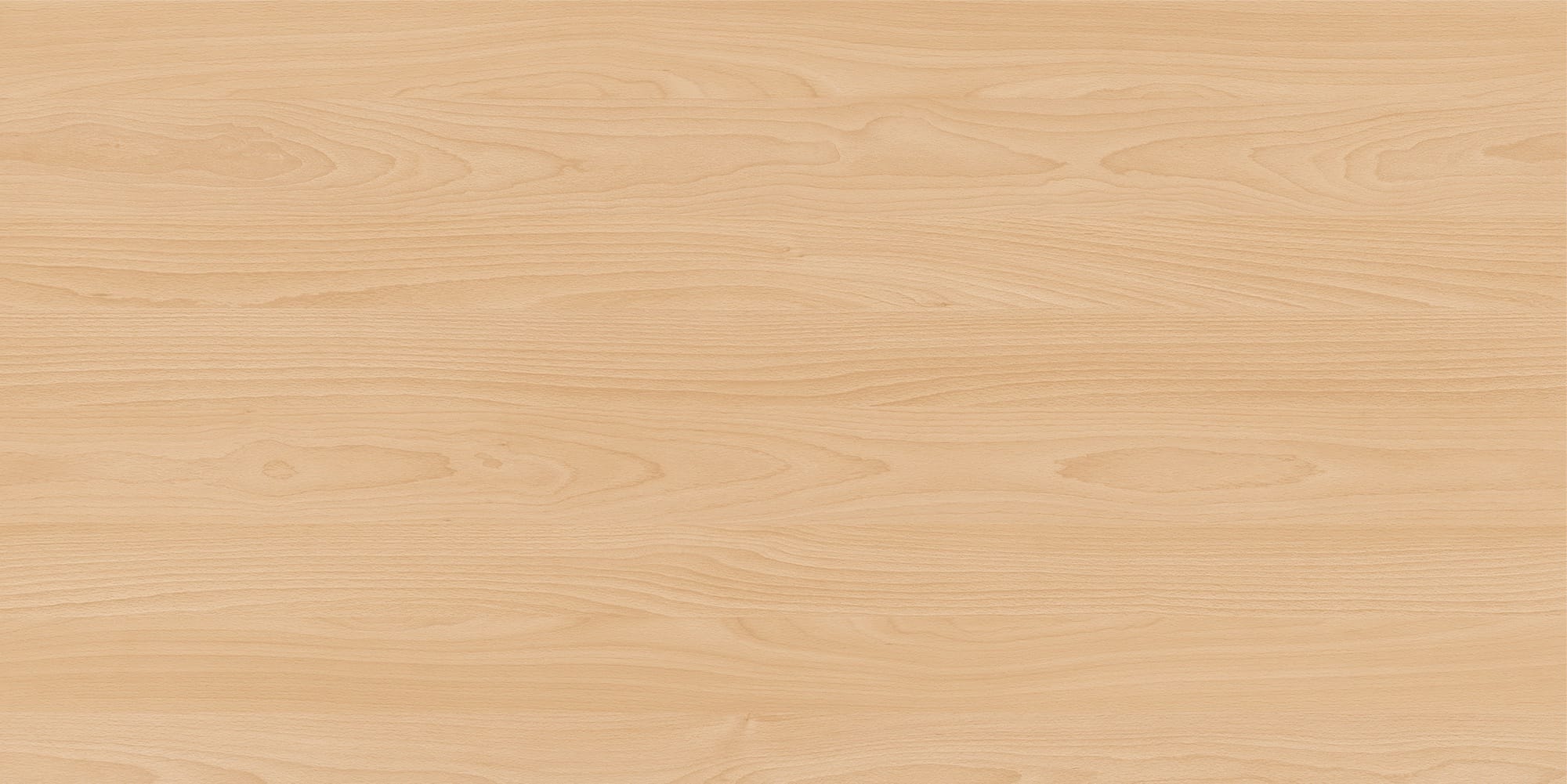 Image of beech wood
