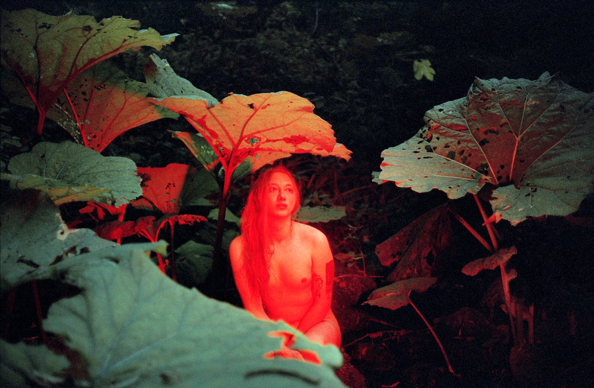 Portrait of a nude person, coloured in red light, in between large plants © Cansu Yıldıran