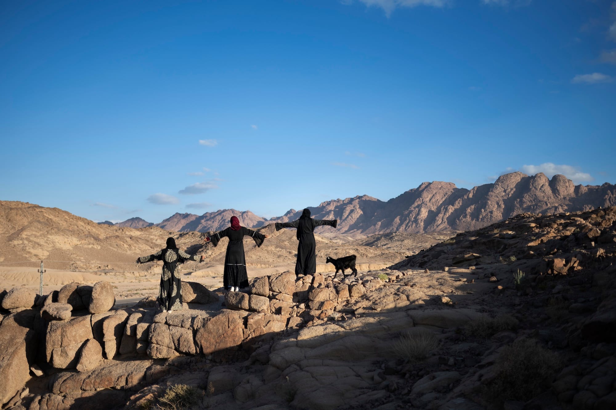 Three women of the Bedouin community in South Sinai, Egypt, herd their sheep across the moutains. They stand in a line with their arms spread out, overseeing the valley. © Rehab Eldalil