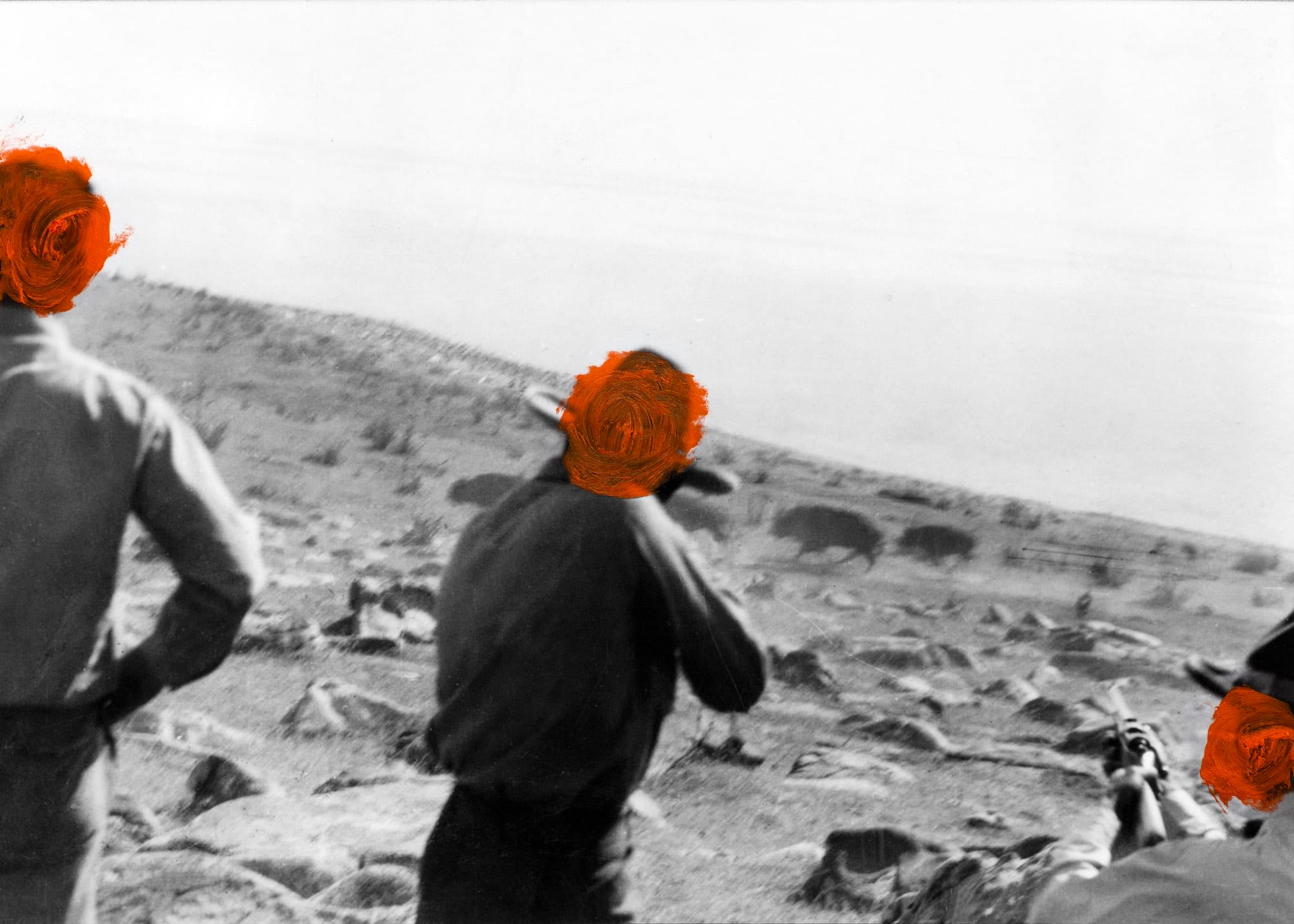 Archival image of a American men shooting buffalos on Antelope Island (Utah) riding a horse. Their heads are covered with red paint © Jaclyn Wright