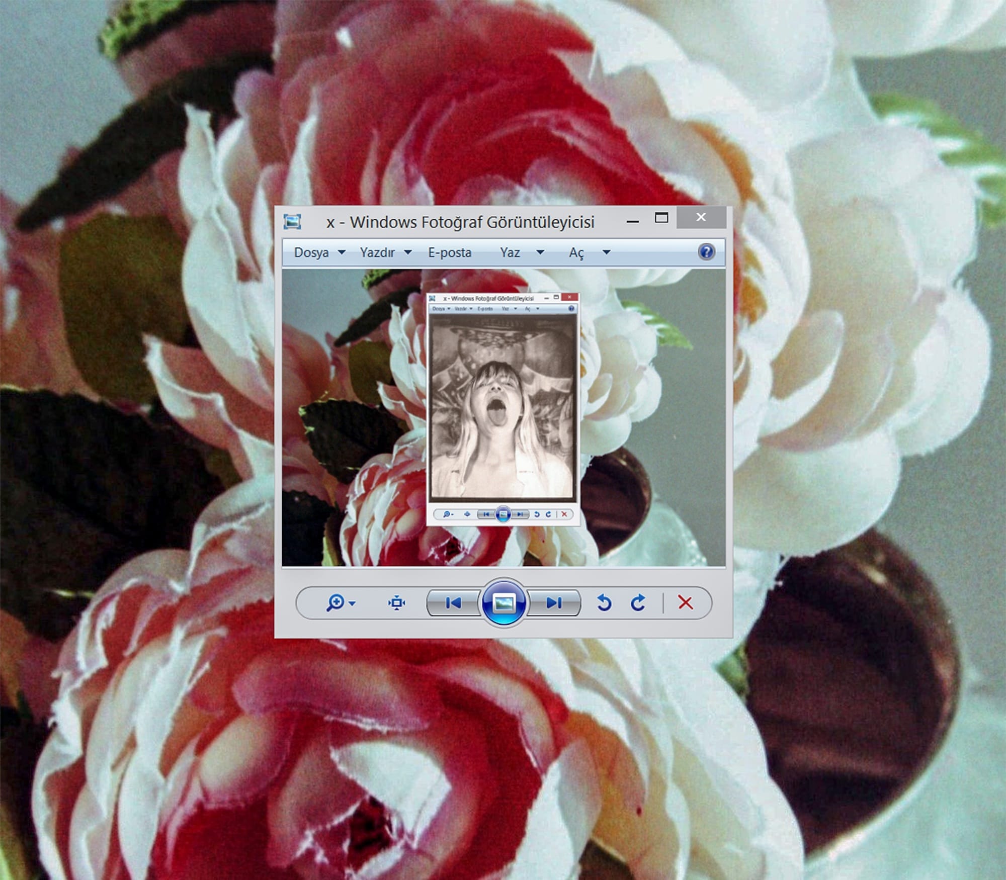 Collage of roses, showing a Windows window with more roses and a selfportrait. © Kıvılcım S Güngörün