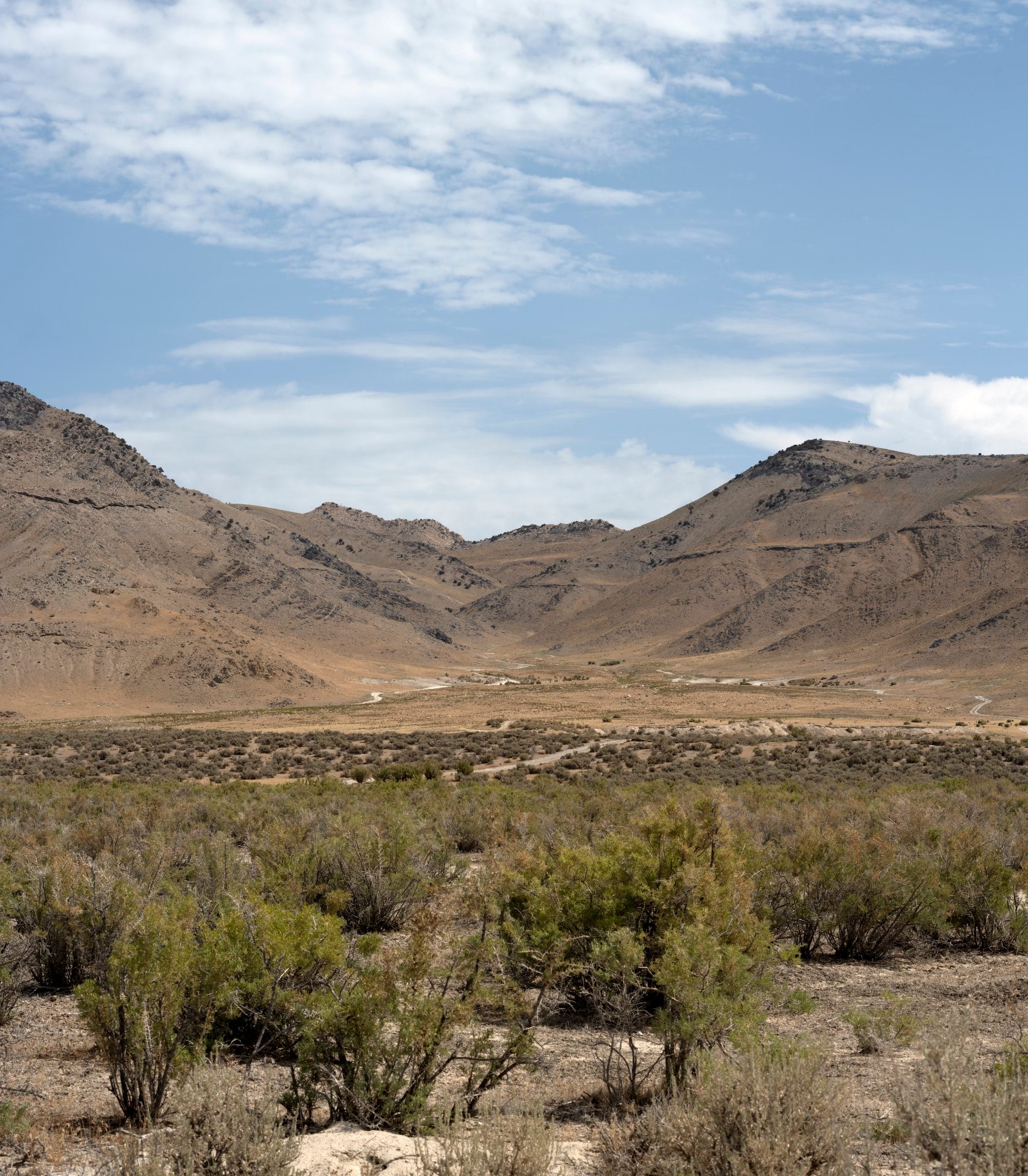 Image of an empty desert landscape, with a blue sky and green shrubbery in the front. © Jaclyn Wright