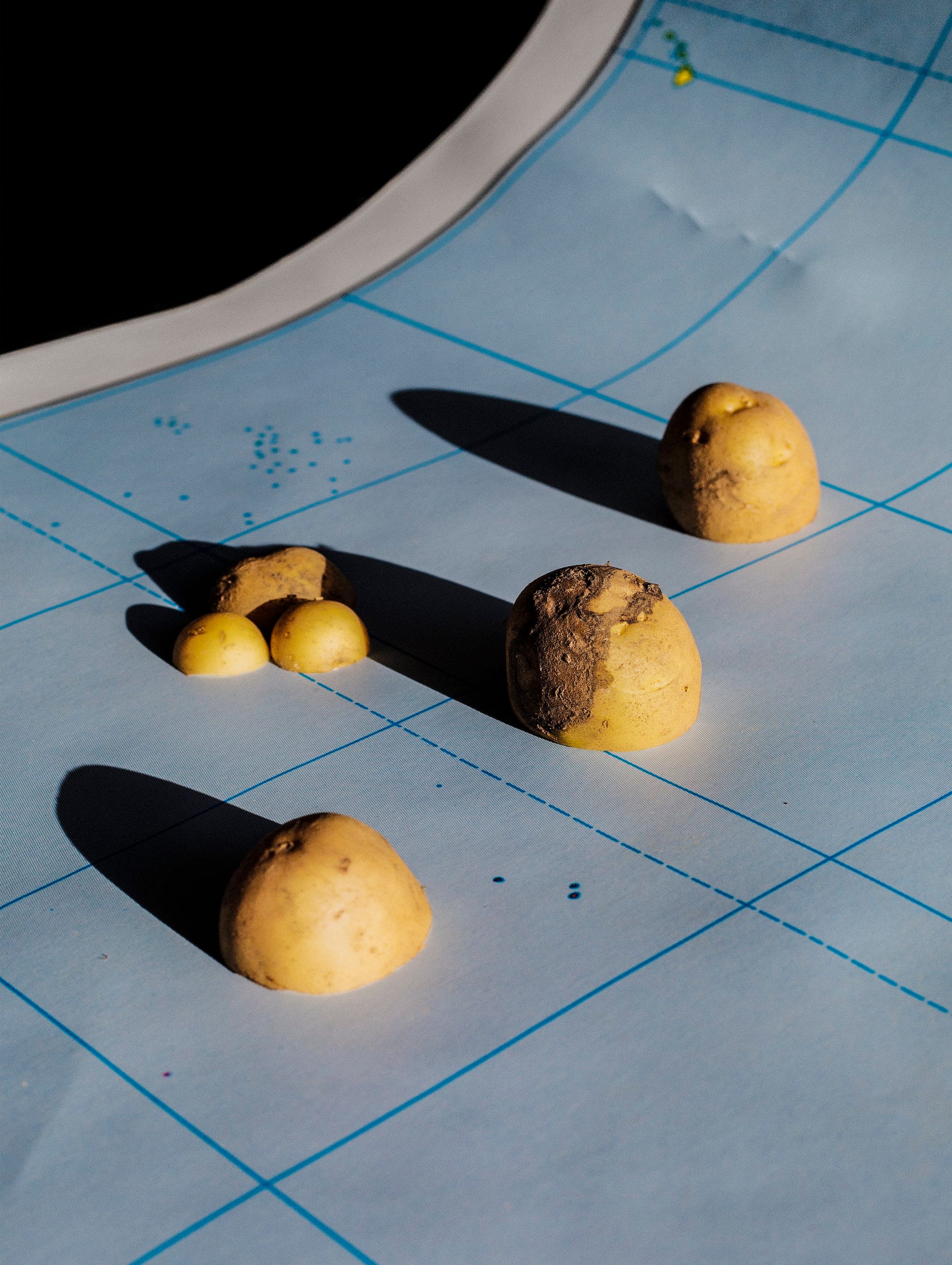 A photograph of potatoes sliced in half, placed on a map