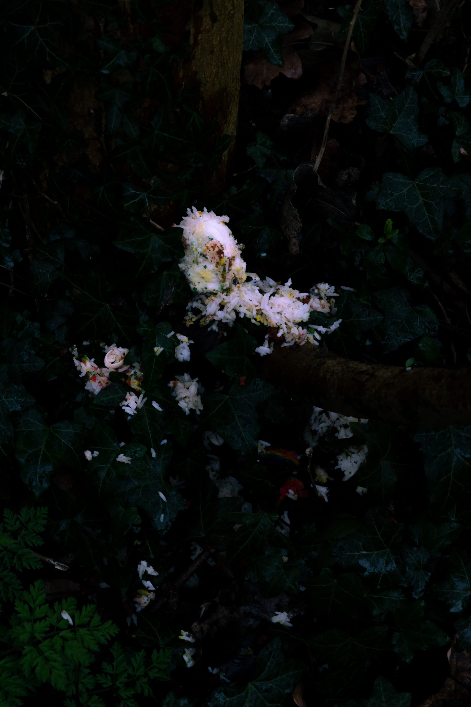 Dark photo of spilled rice © Iyanla Etnel