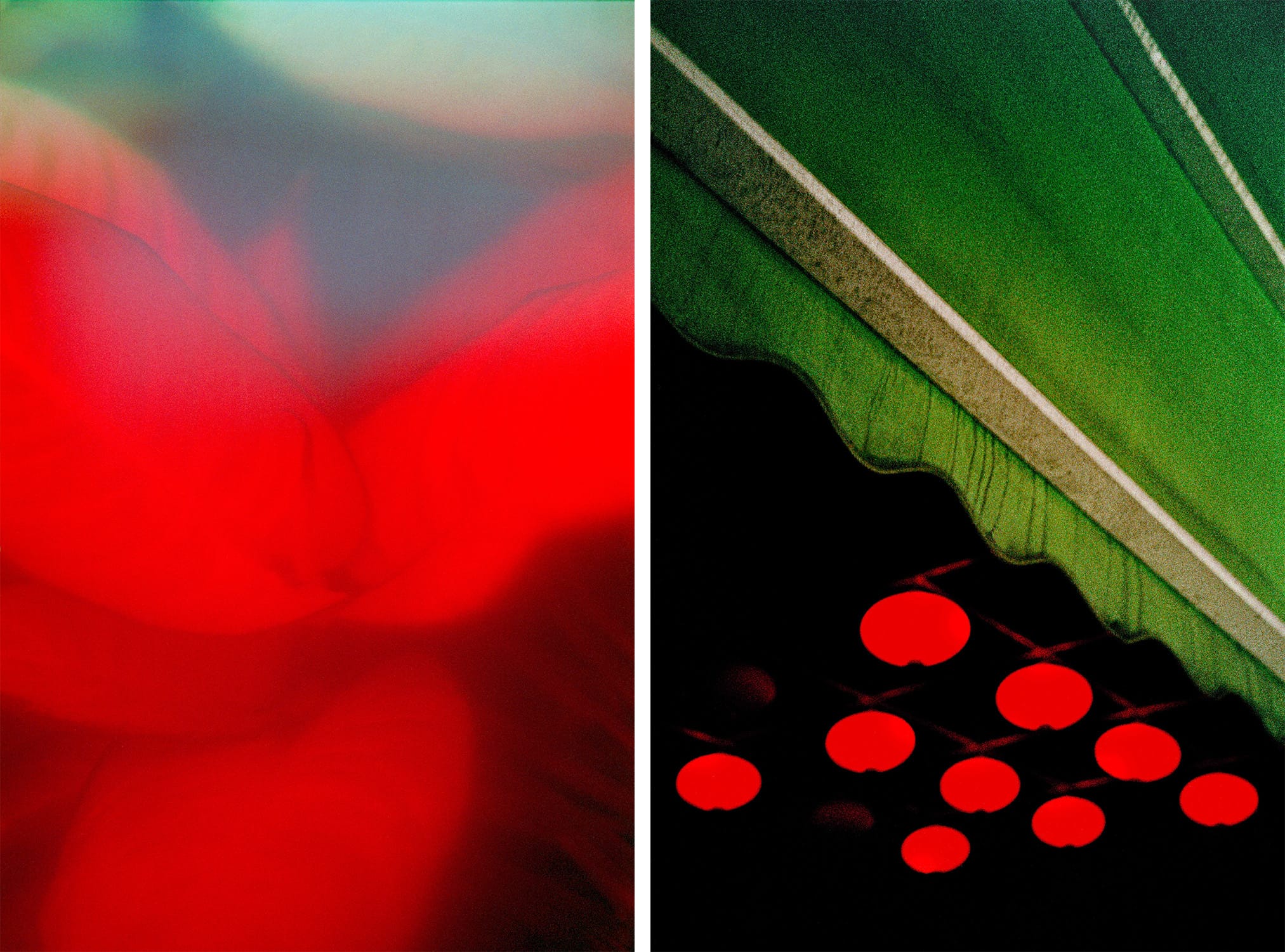 Red lights with green sunshade and big red leafs