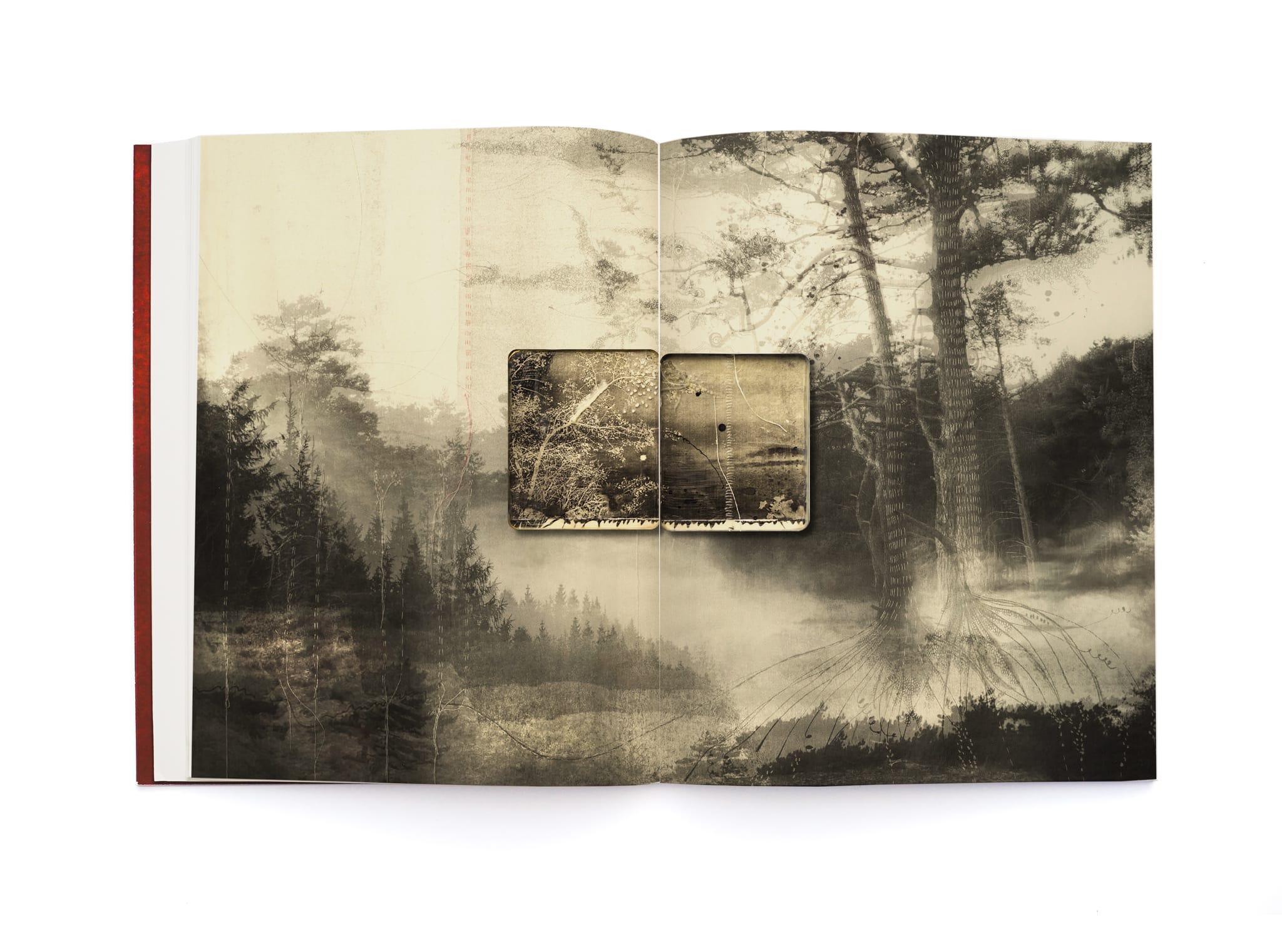 Open boek Thought Trails van Jackie Mulder