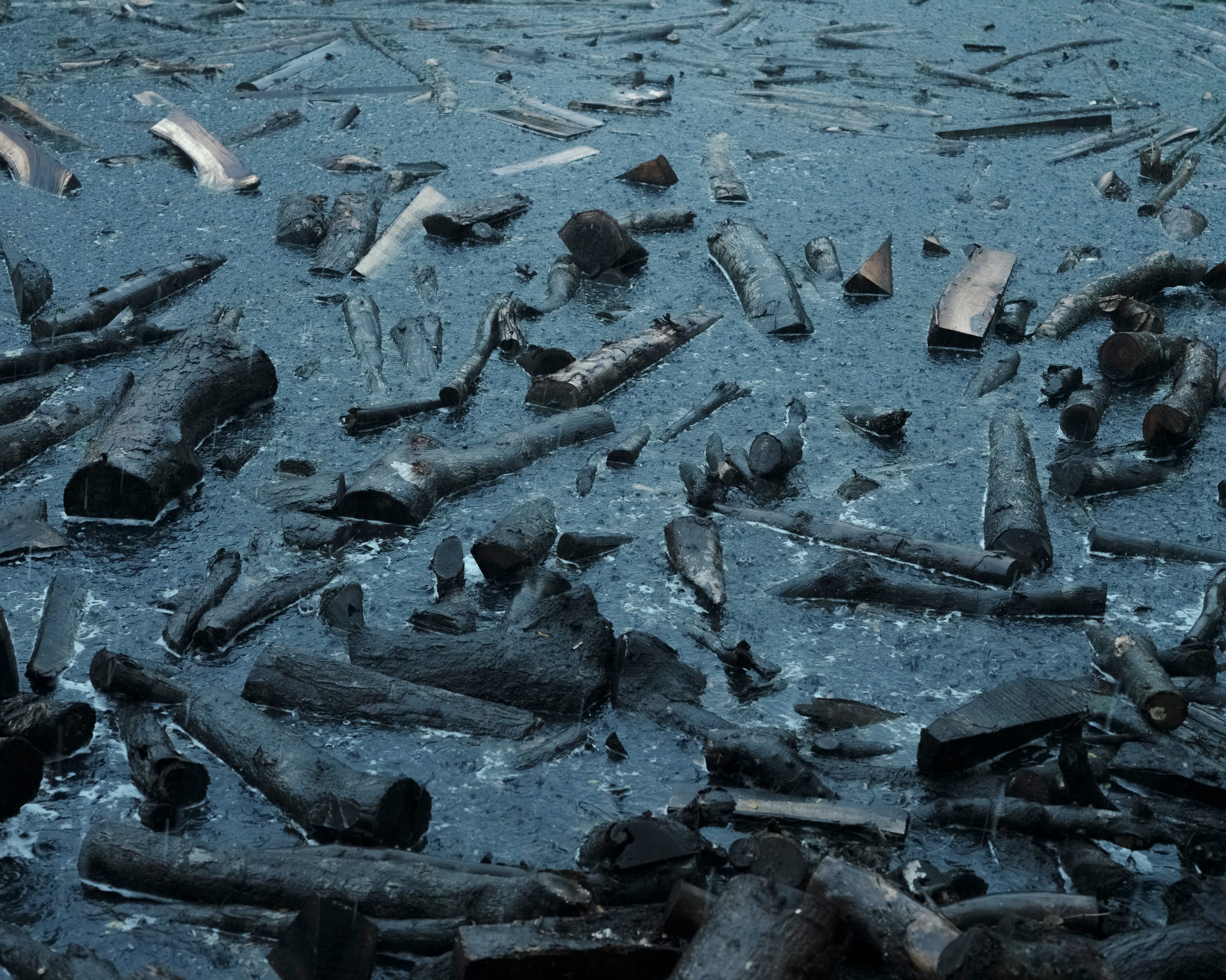 Floating logs and debris on a body of water with a dark, reflective surface, creating a pattern across the scene.