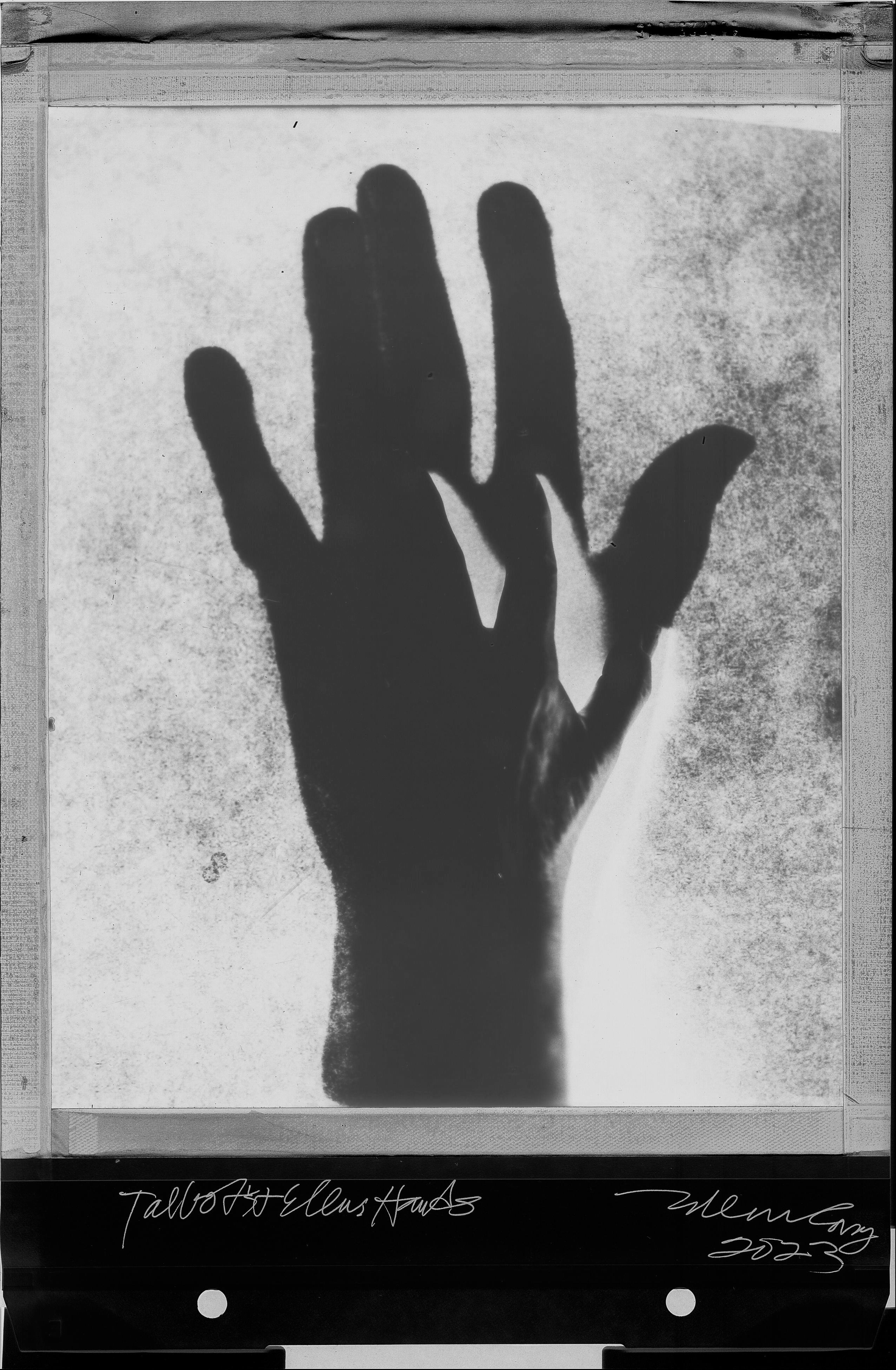 Polaroid BW hand