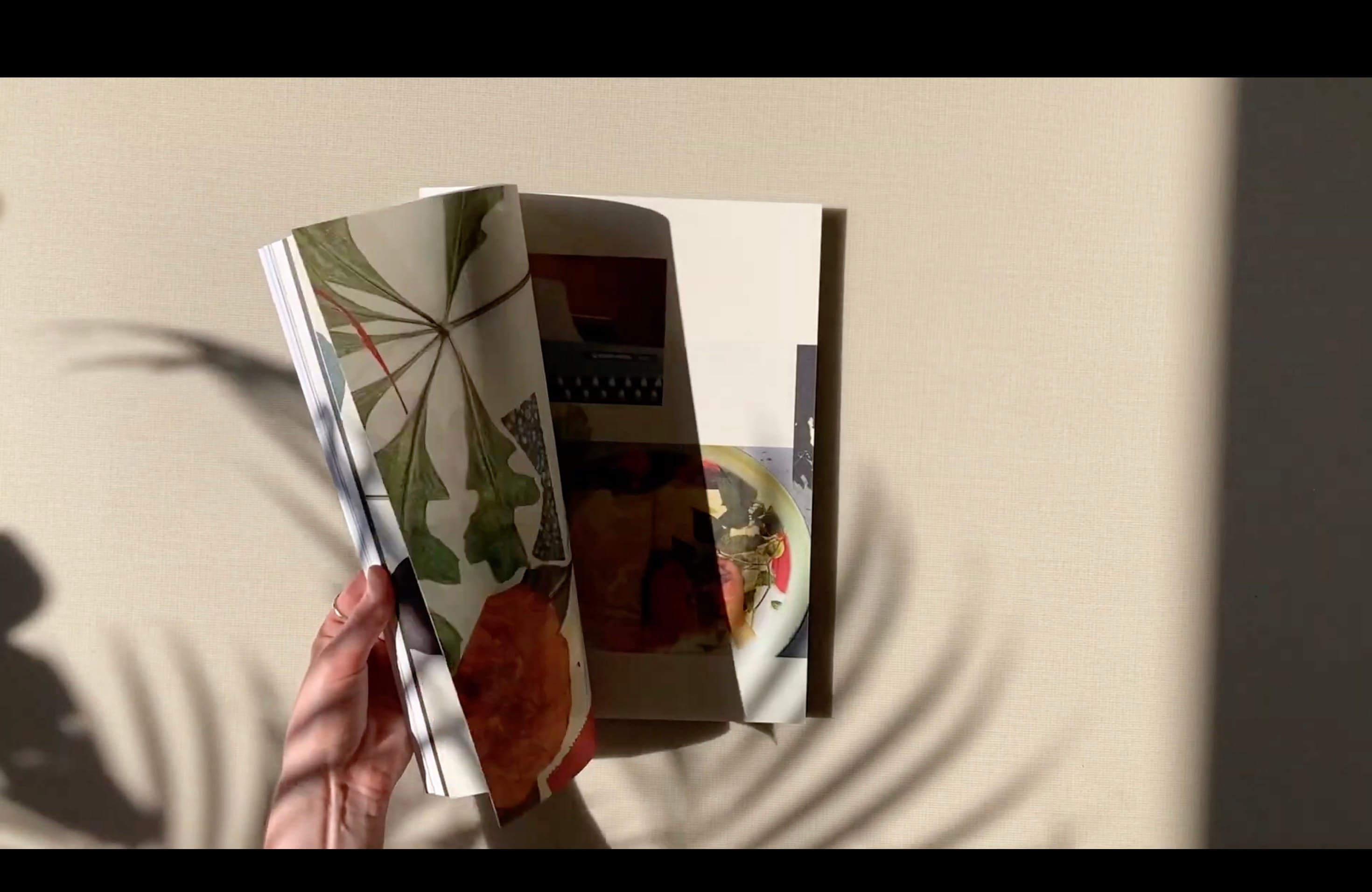 Screenshot of a video where hands flips through Foam Magazine #64: EXTREMES with a shadow of a plant visible