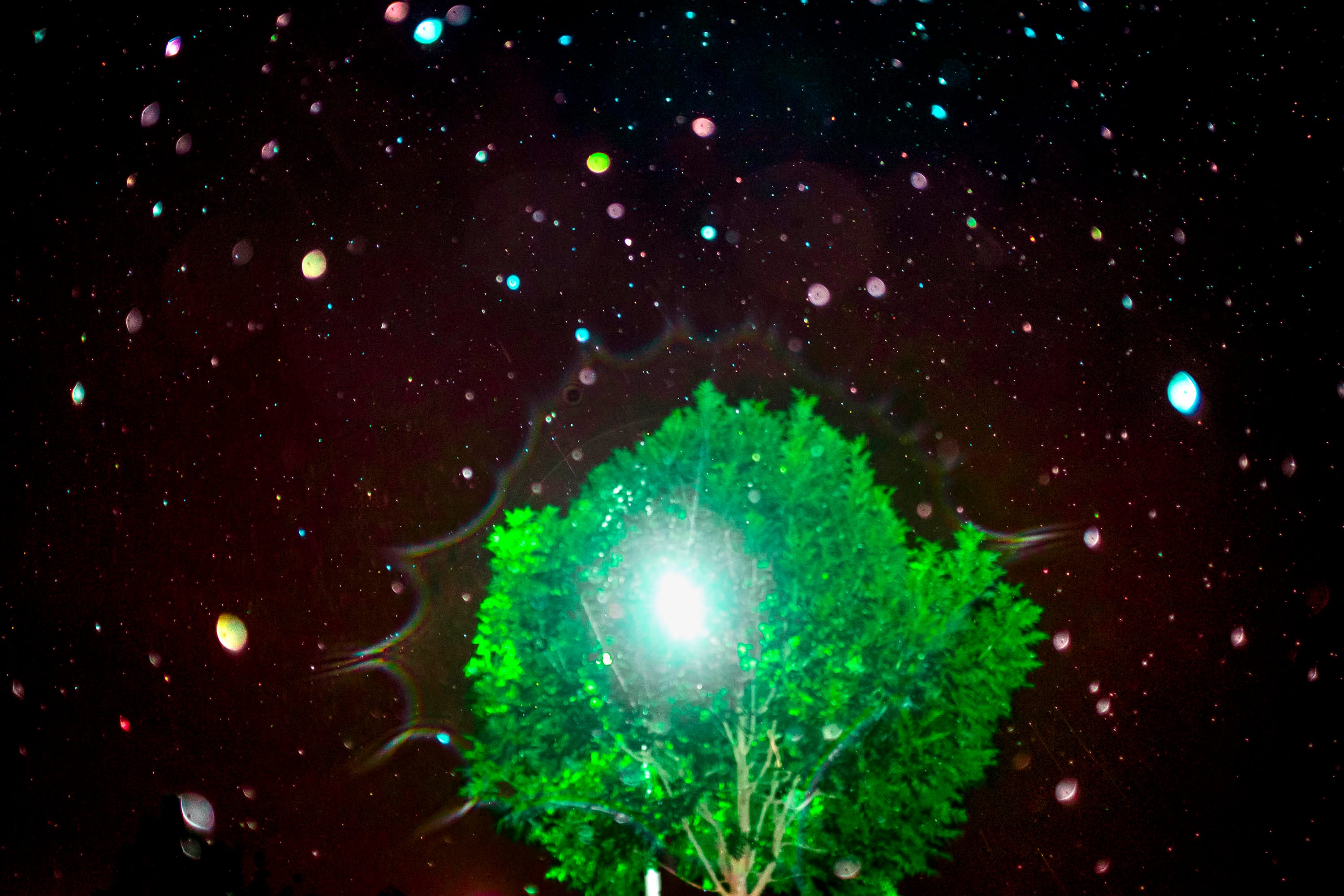 Abstract image of a tree in a night sky, with a bright flash © Oğulcan Arslan