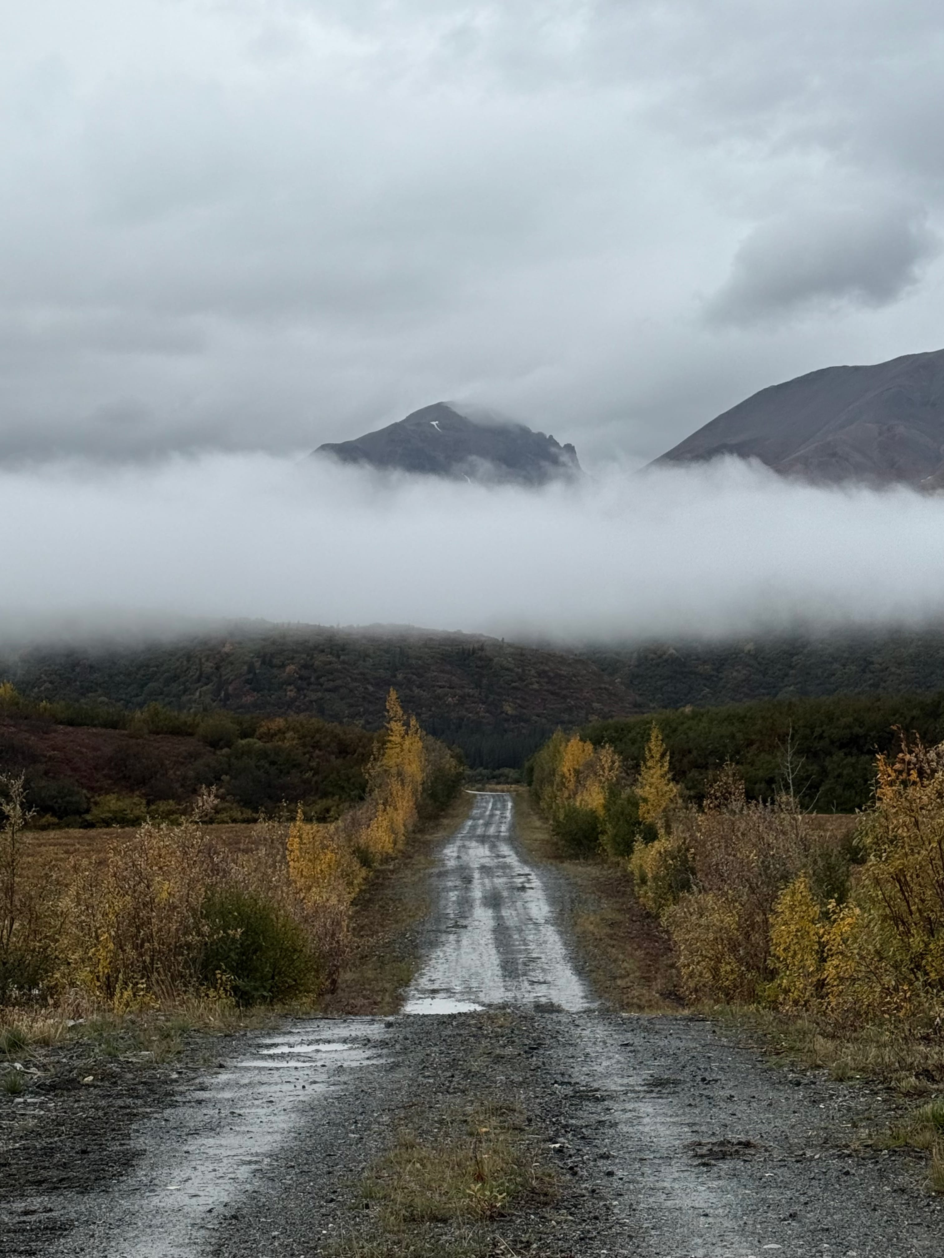 A gravel road leads through autumn foliage towards mountains shrouded in low clouds under a gray sky.