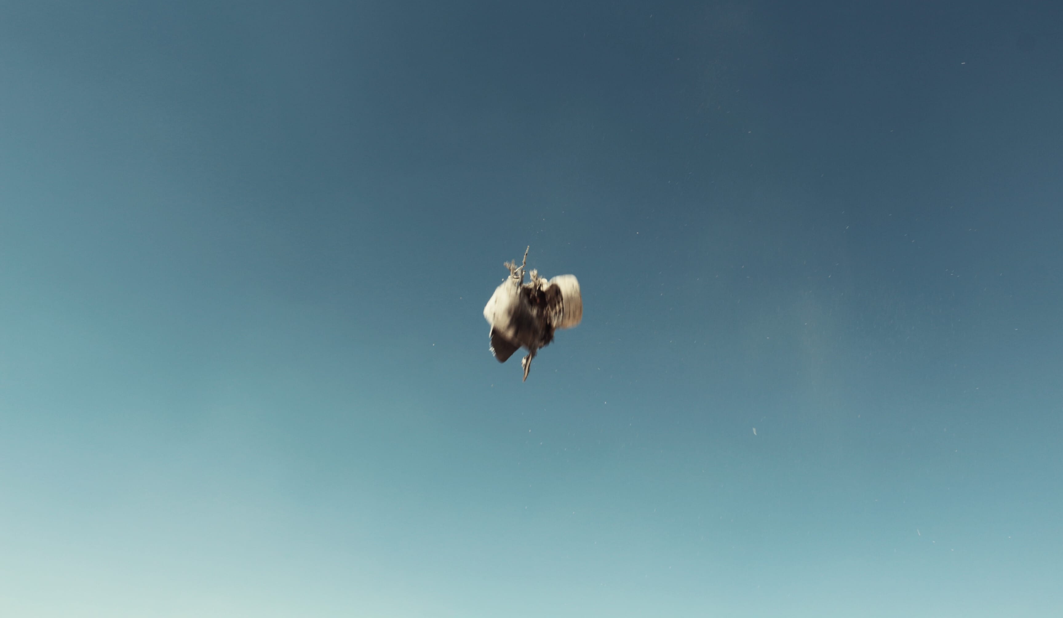 A shoe I found near a dormant volcano in the mountains of Karaman, thrown into the air by my dad. © Yasemin Demirözcan