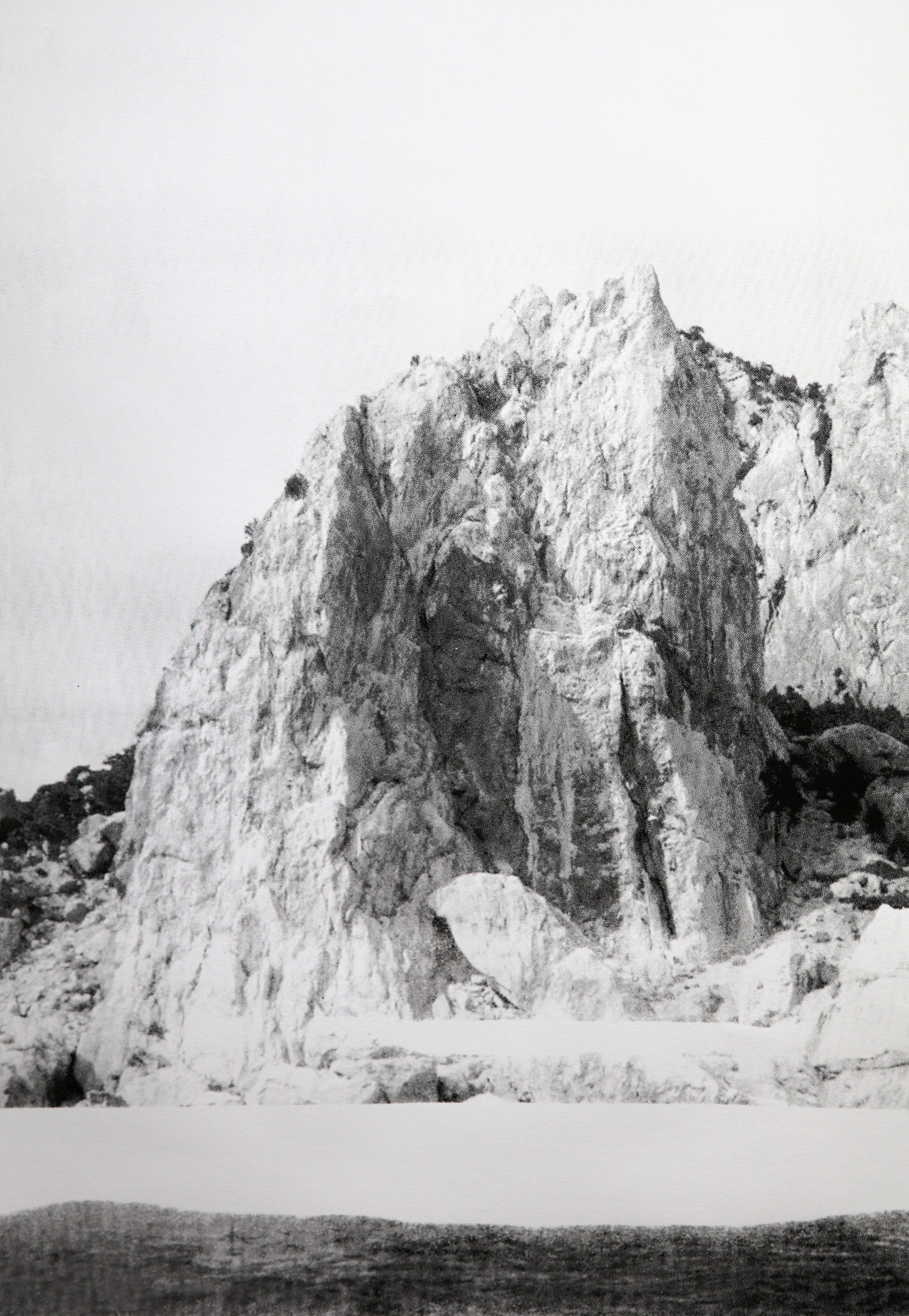 Anton Shebetko - Swan Wing Rock, 2021