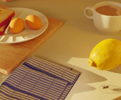 table with lemon, eggs, coffee and spider