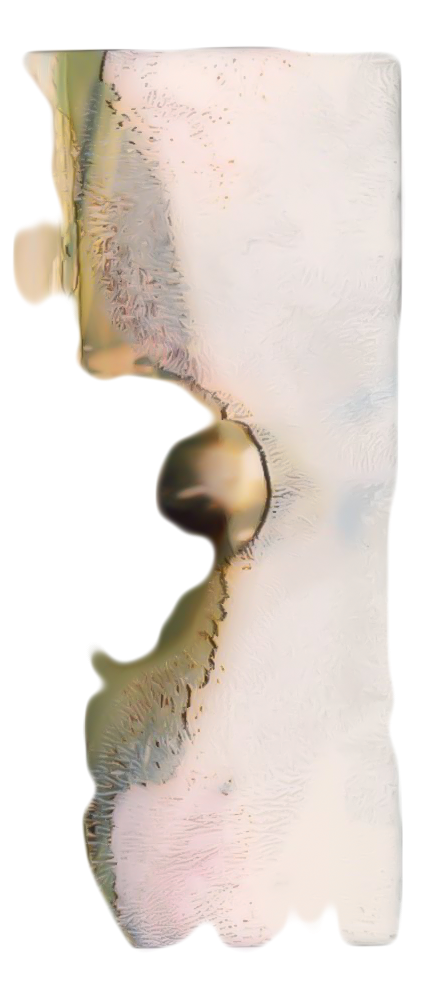 cutout of polariod
