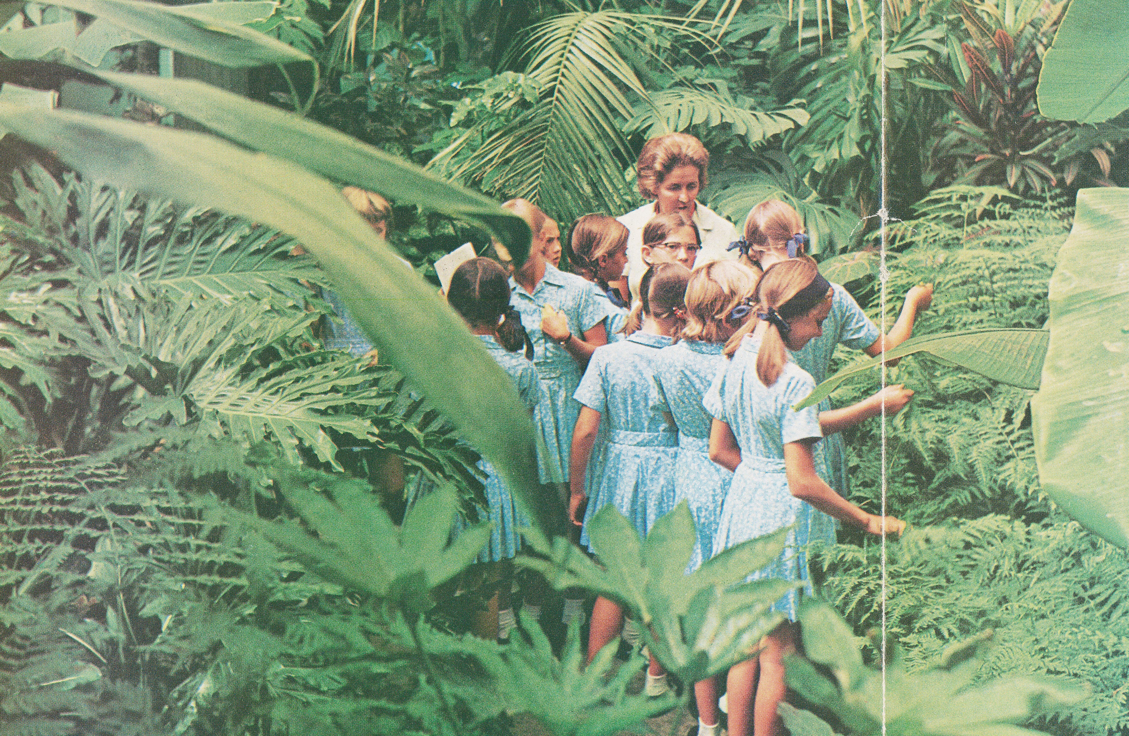Spread group of girls walking through jungle