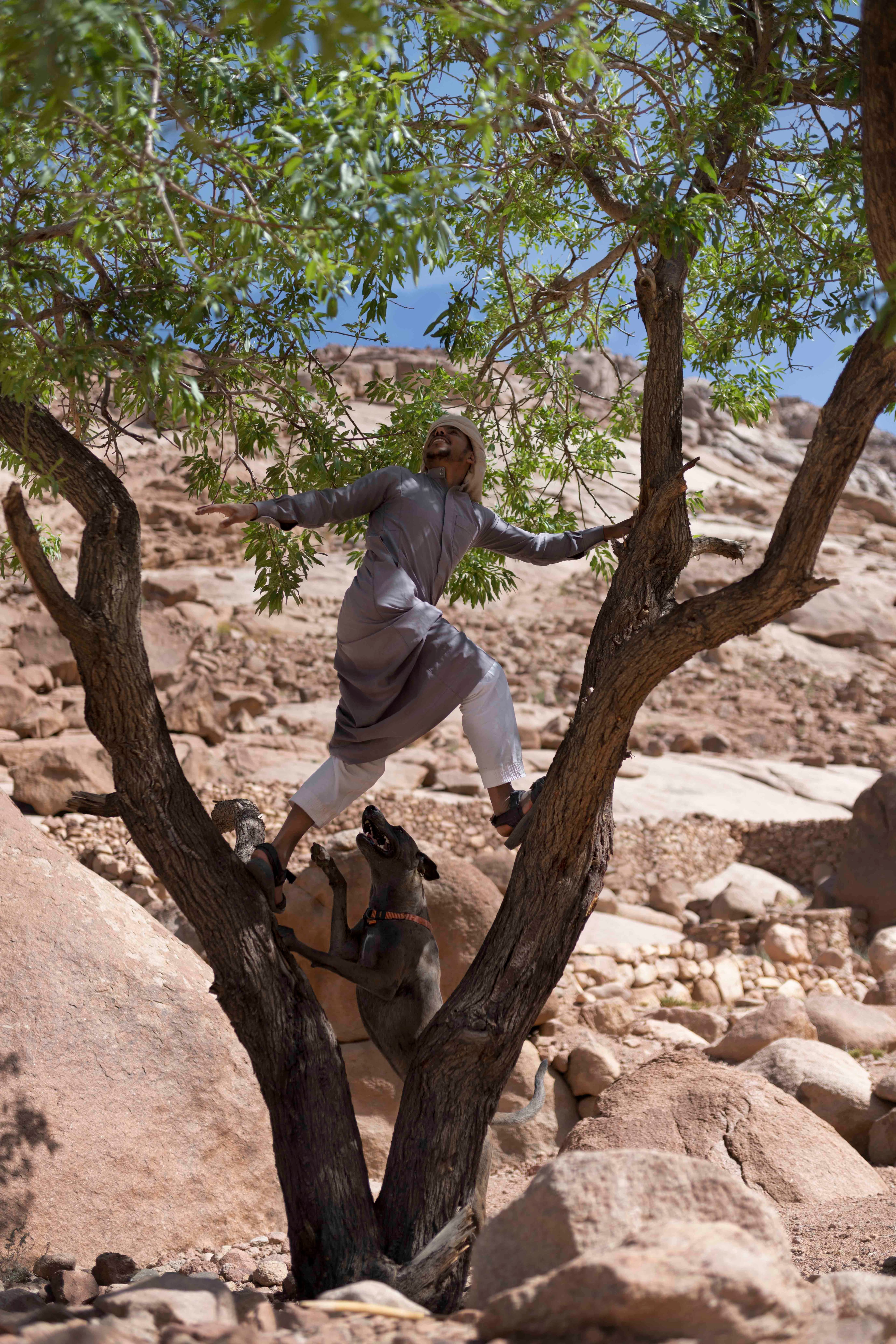 Portrait of a man climbing a tree in a mountainous area © Rehab Eldalil