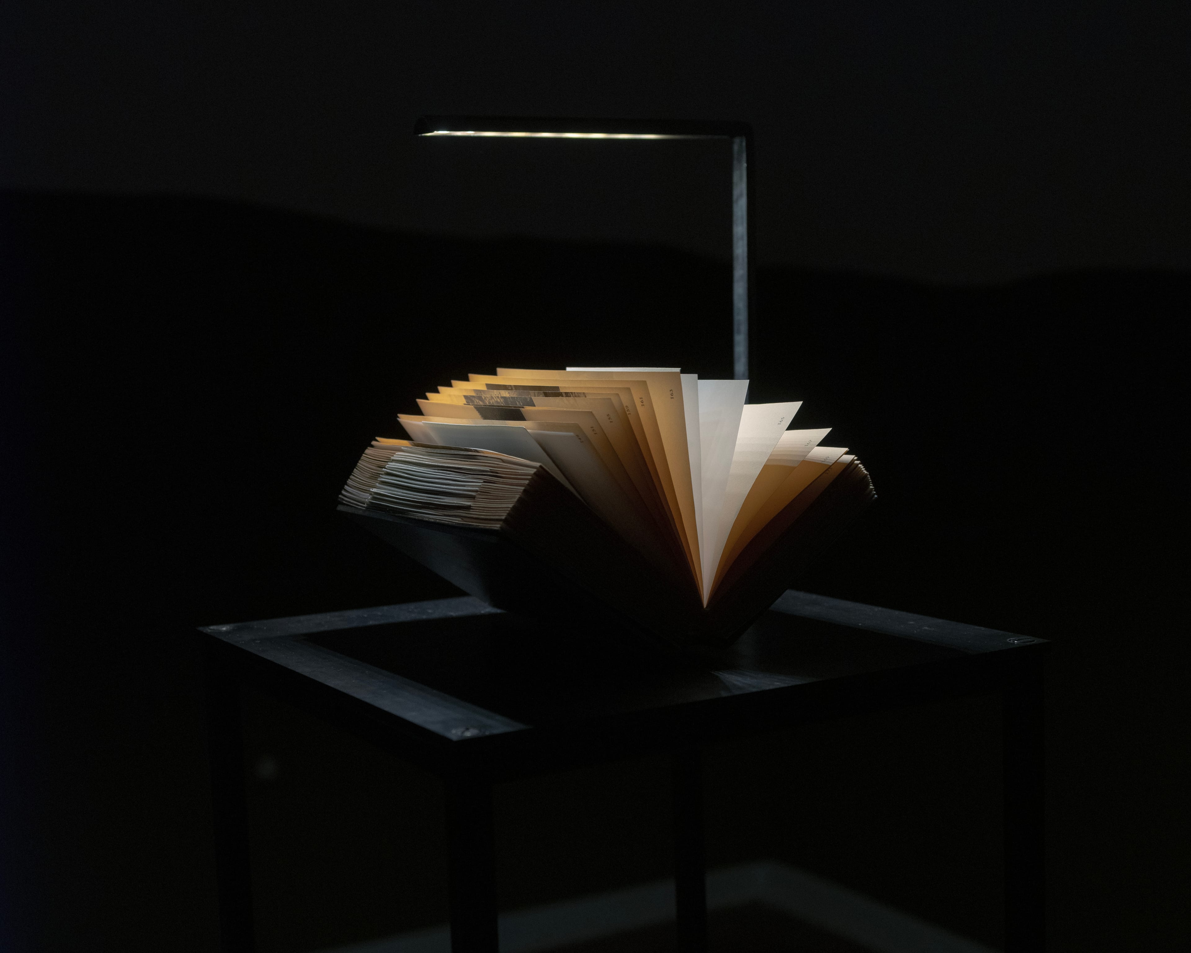 image of the book 'Seeing Against Seeing'