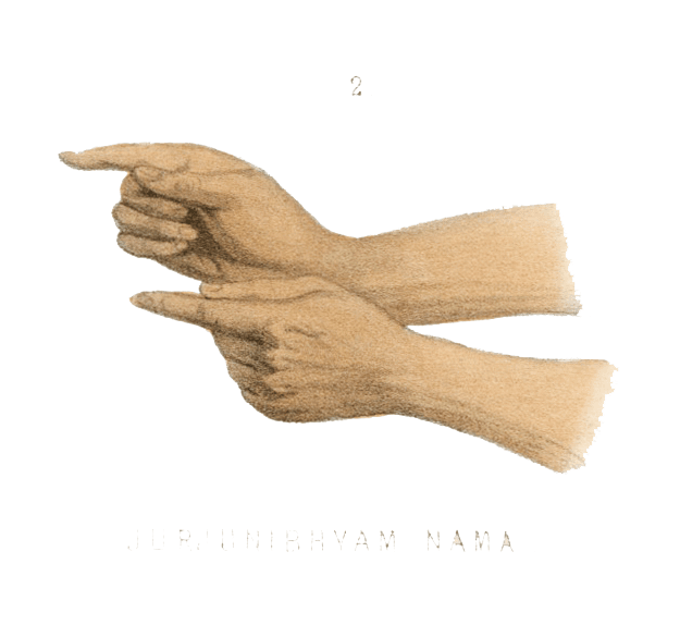 Illustration of gesturing hands. © Akshay Mahajan