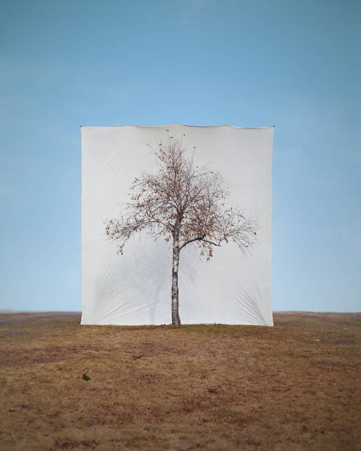 Tree #1, 2007 © Myoung Ho Lee