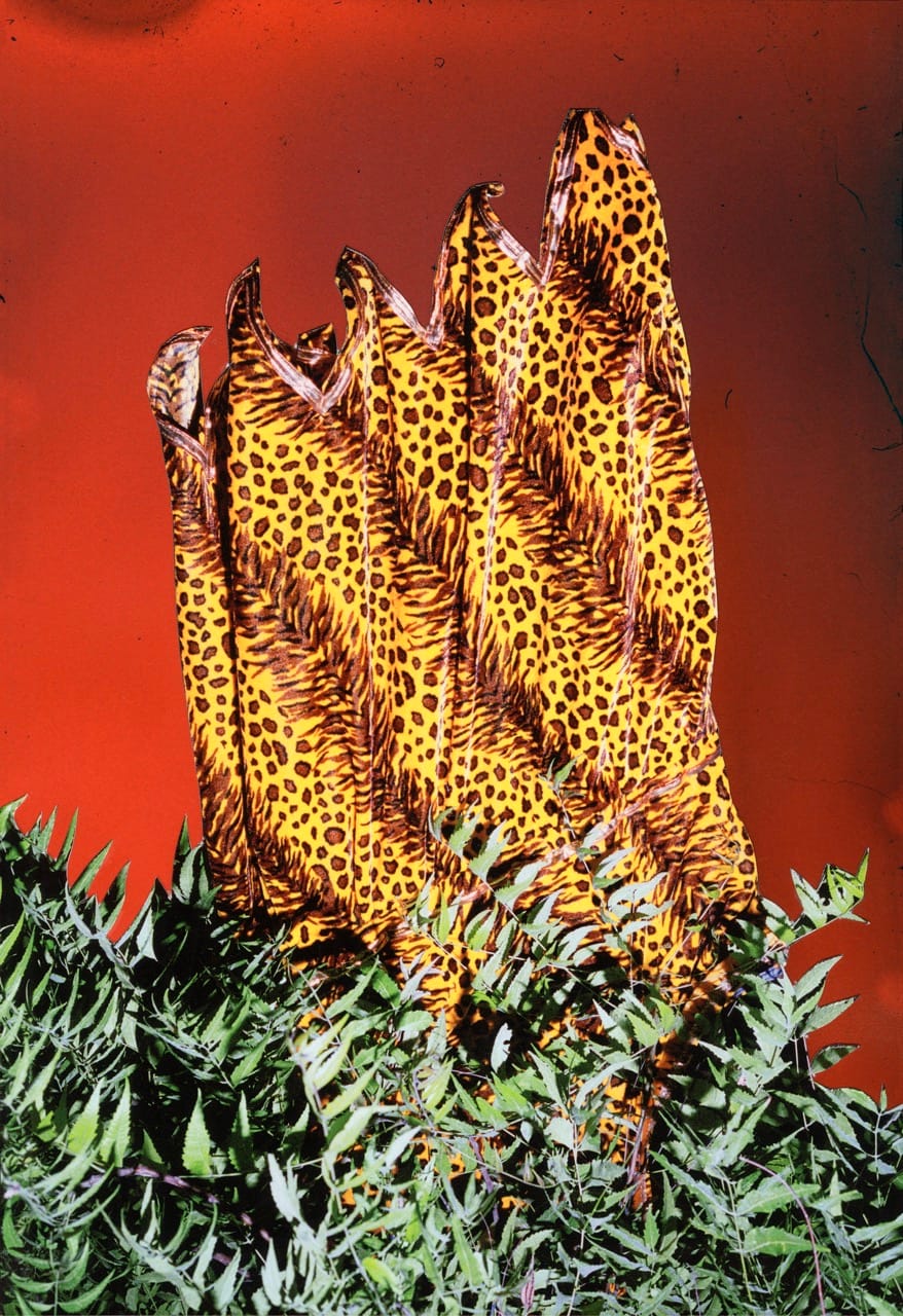 A vibrant, abstract image featuring leopard-patterned leaves with green ferns in front, set against a bold red background.