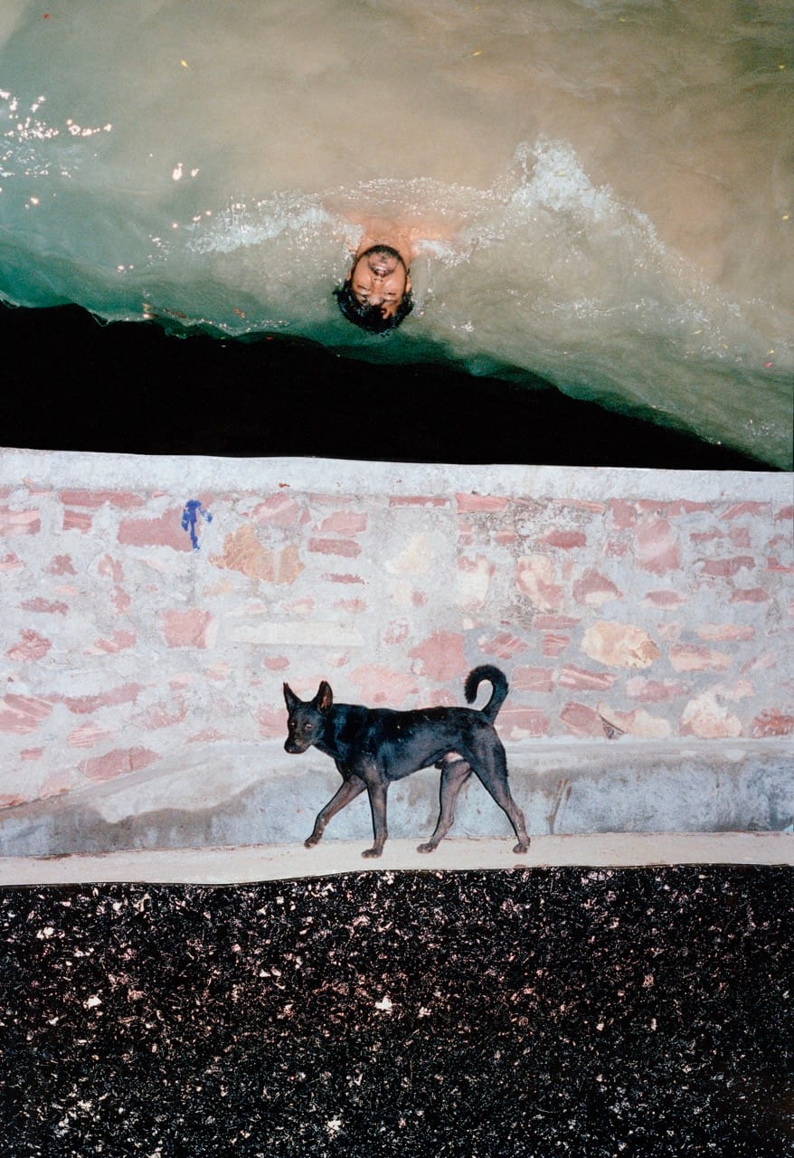 A person swimming in water near a stone wall, with a black dog walking on a dark path beside the wall.
