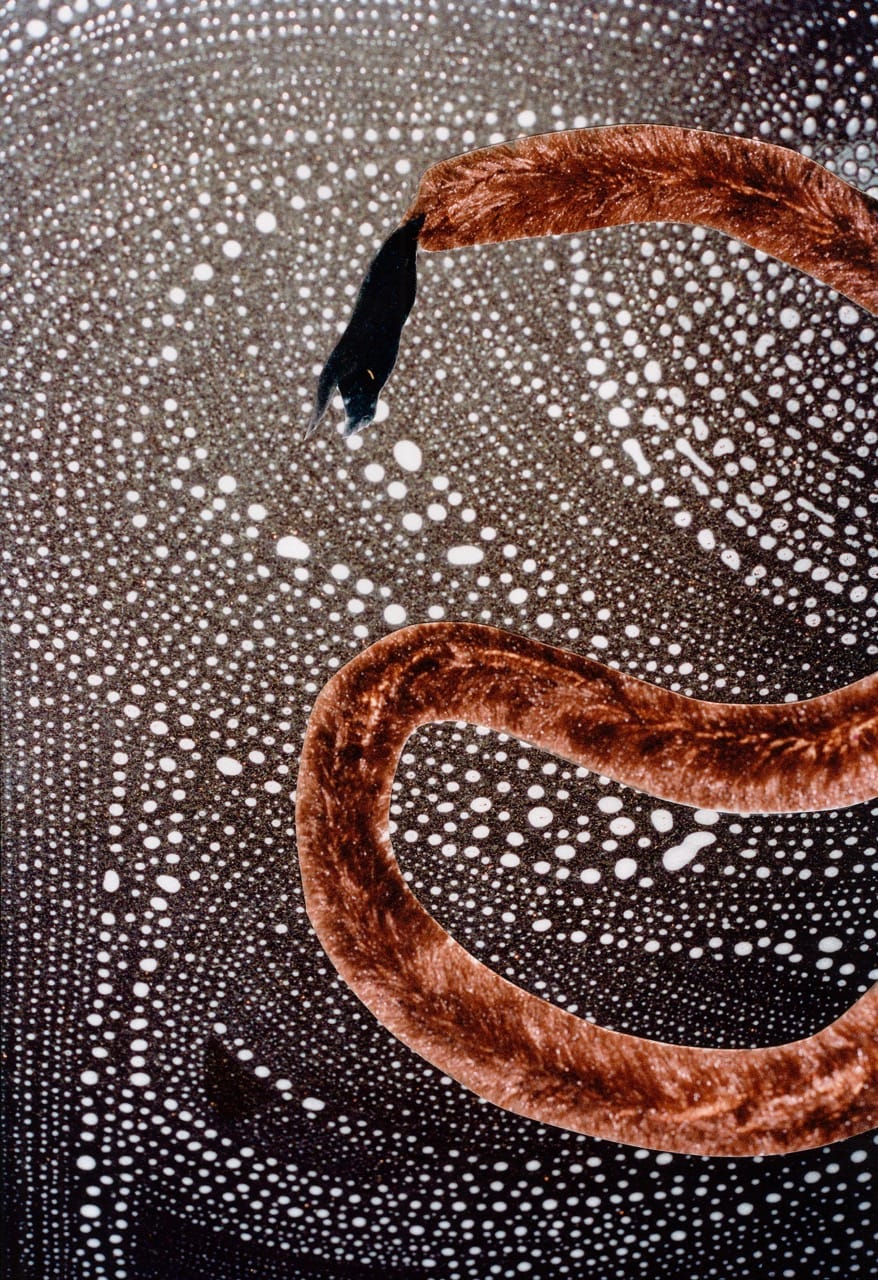 A brown snake-like entity slithers across a surface covered in white, bubble-like patterns, creating a contrast between its texture and the background.