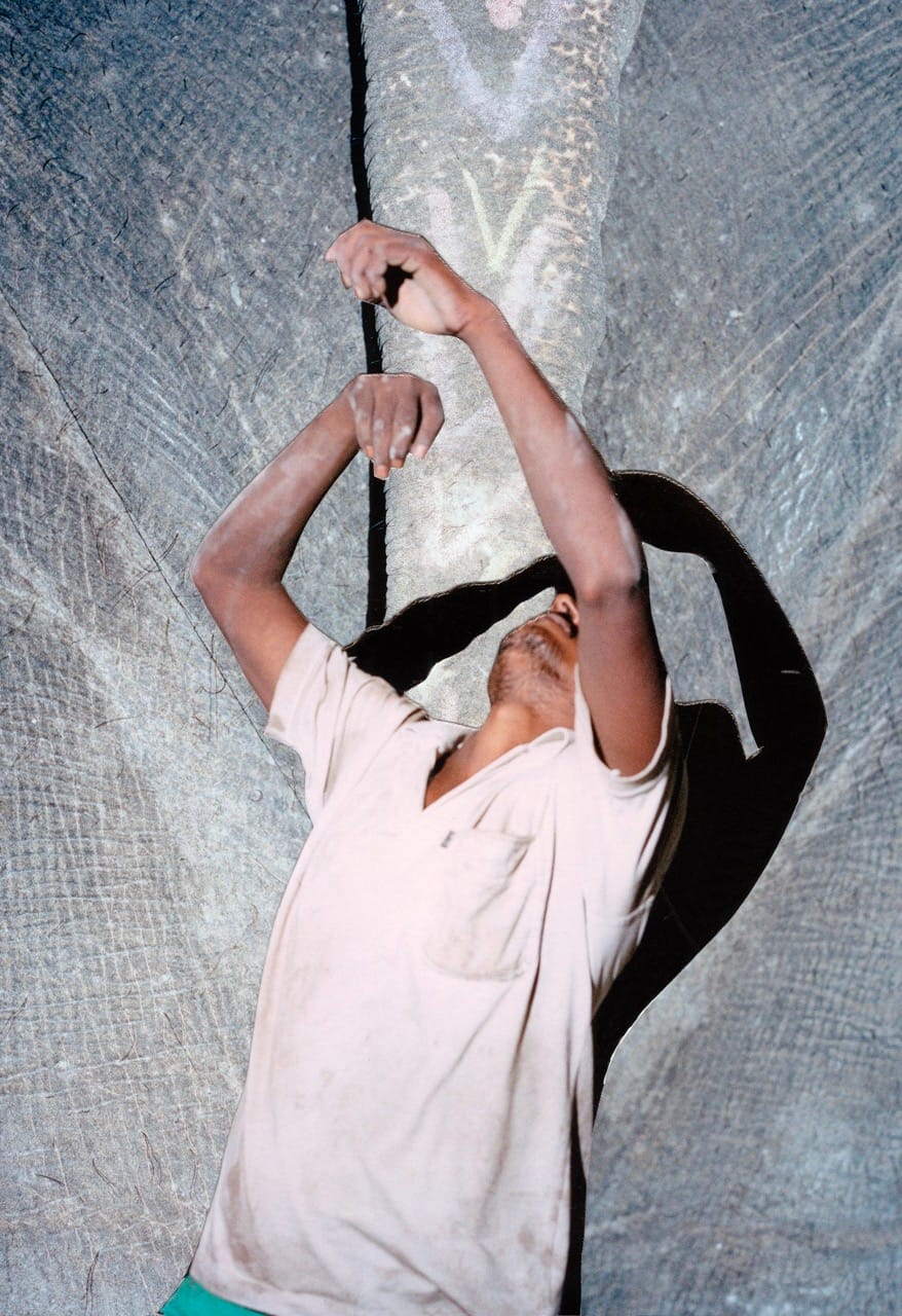 A person stands with arms raised, casting a shadow on a large grey background, creating an artistic silhouette effect.