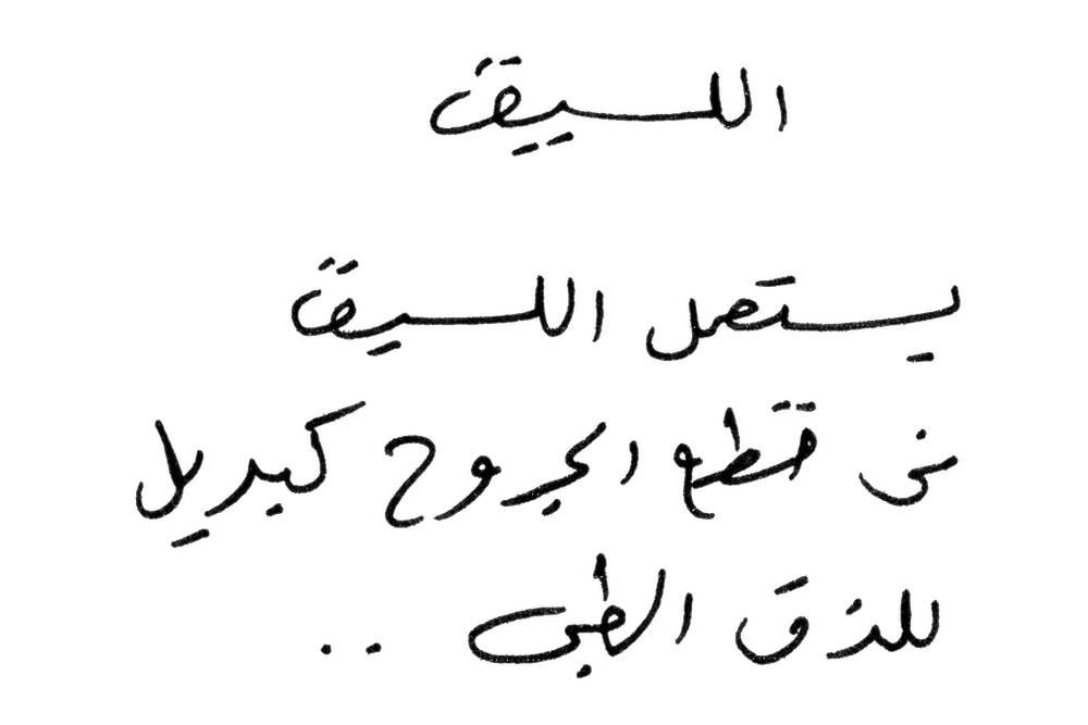 Handwritten Arabic text about Al Laseeq flower. © Rehab Eldalil