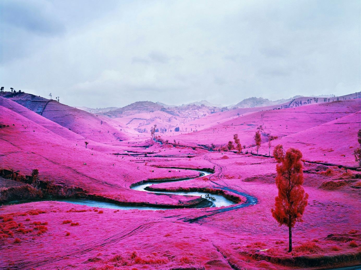 Platon, from the series Infra, 2010 © Richard Mosse, courtesy of the Foam Collection