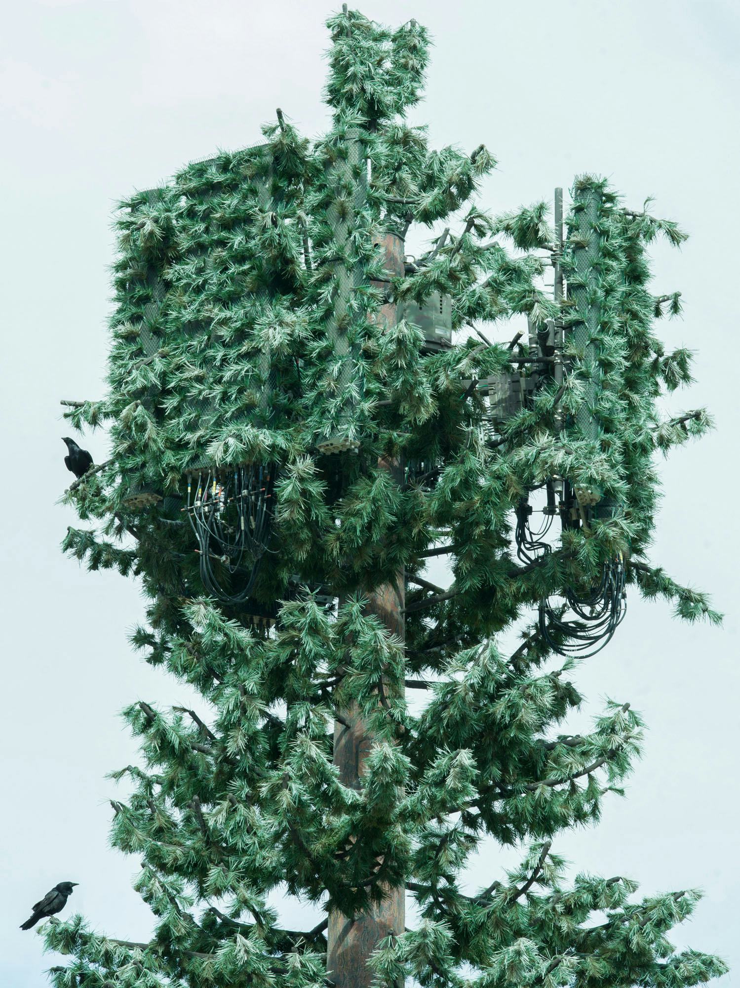Close-up of a green bushery of a fake tree. In the bottom left corner, a bird can be seen on one of the fake branches © Andrea Orejarena & Caleb Stein