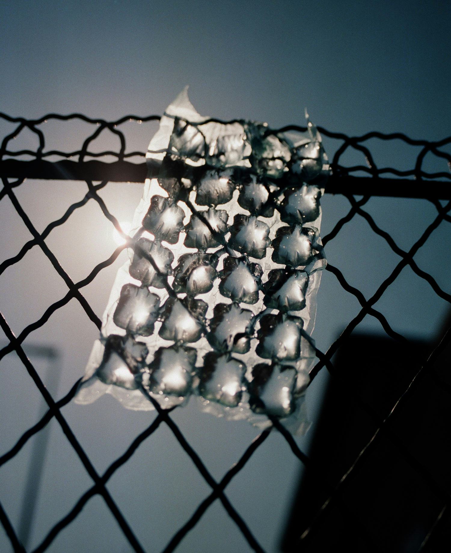 Photograph of barbed wire in the sun, with an ice pack