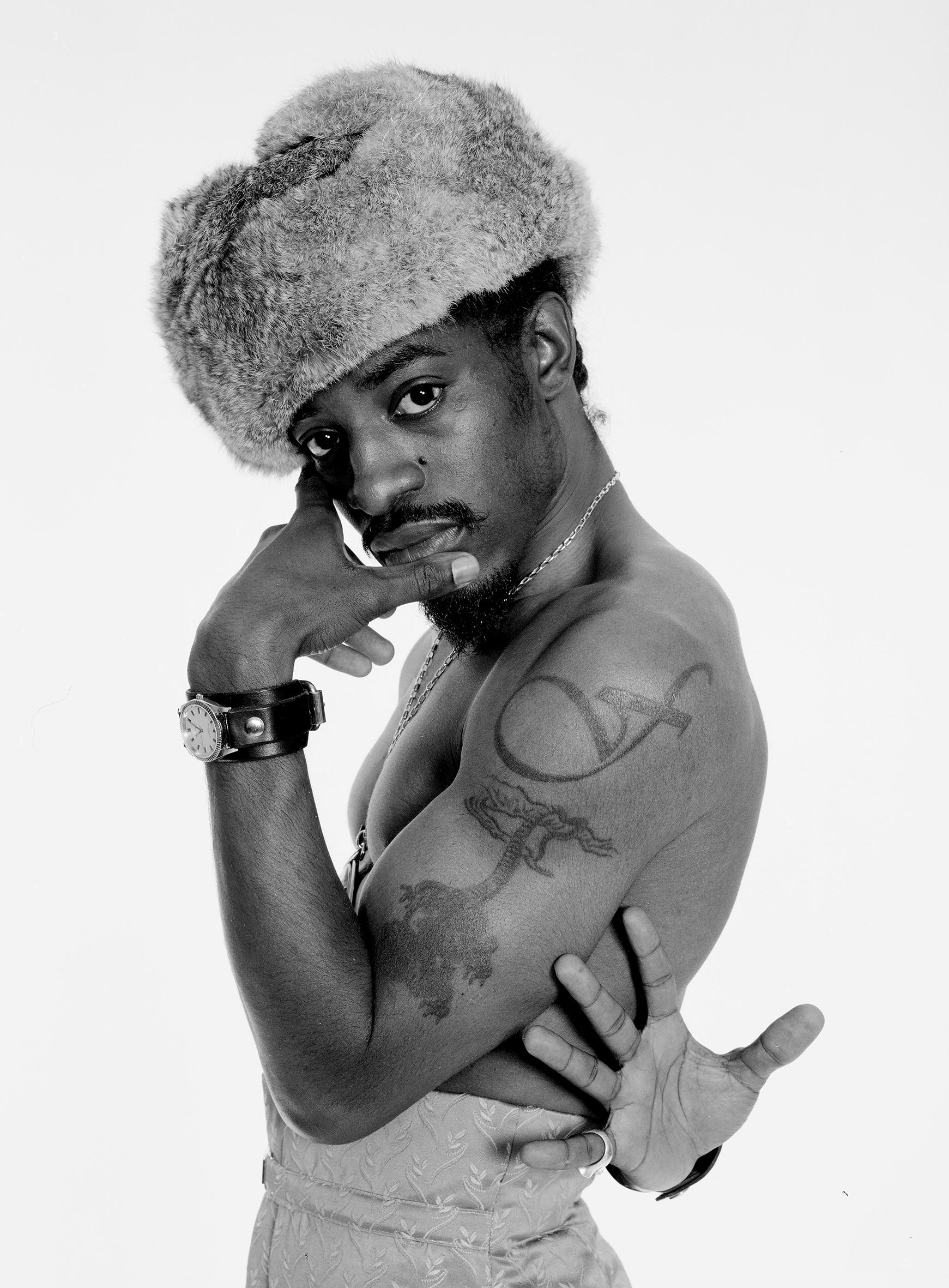 Portrait of Andre 3000