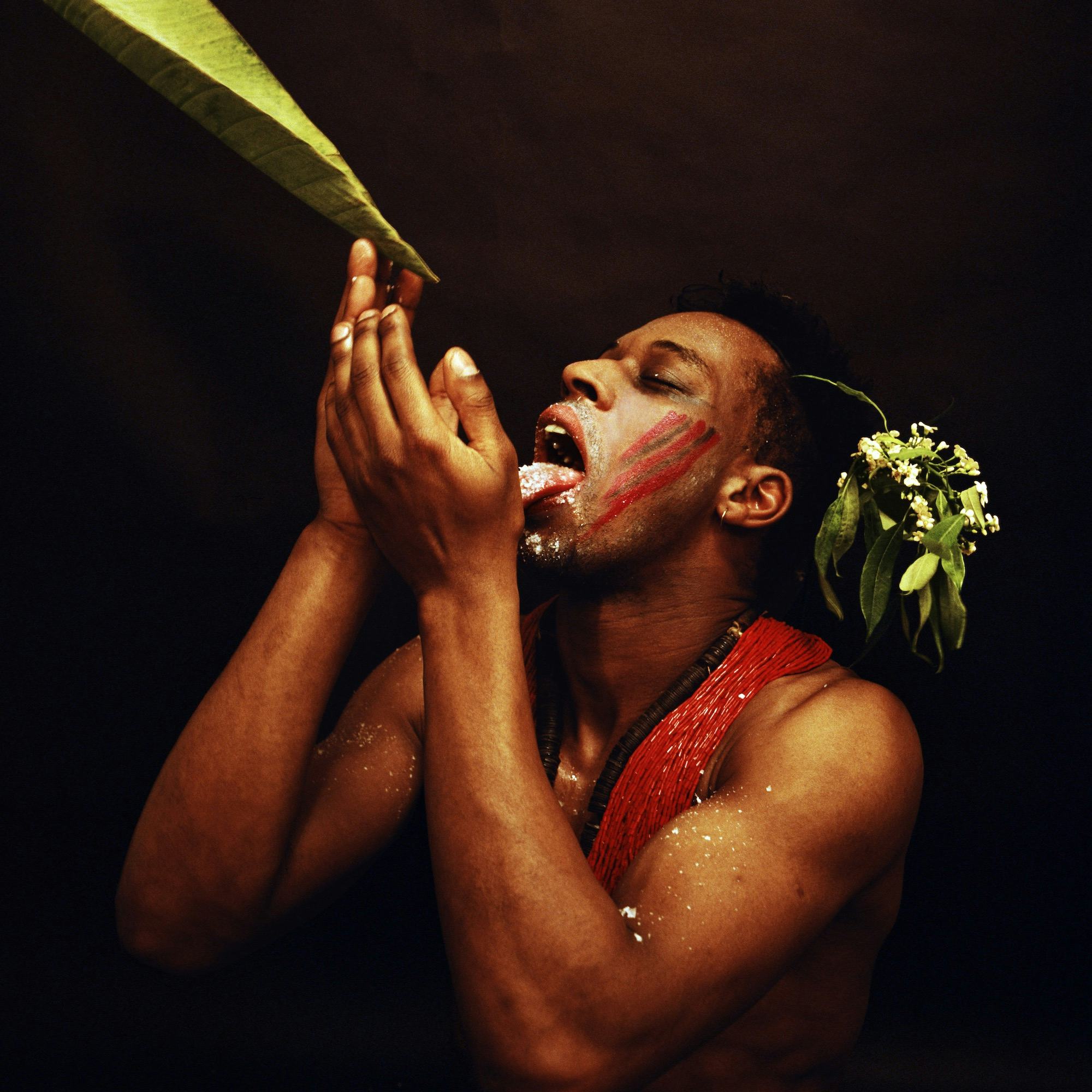 A photograph of a black muscular person, holding up their hands and with their tongue out to consume something that appears to drip of a leave.