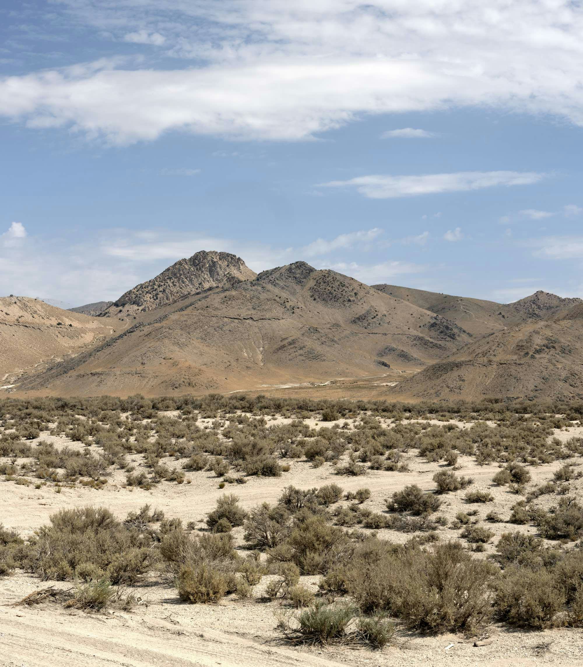 Image of an empty desert landscape, with a blue sky and green shrubbery in the front. © Jaclyn Wright