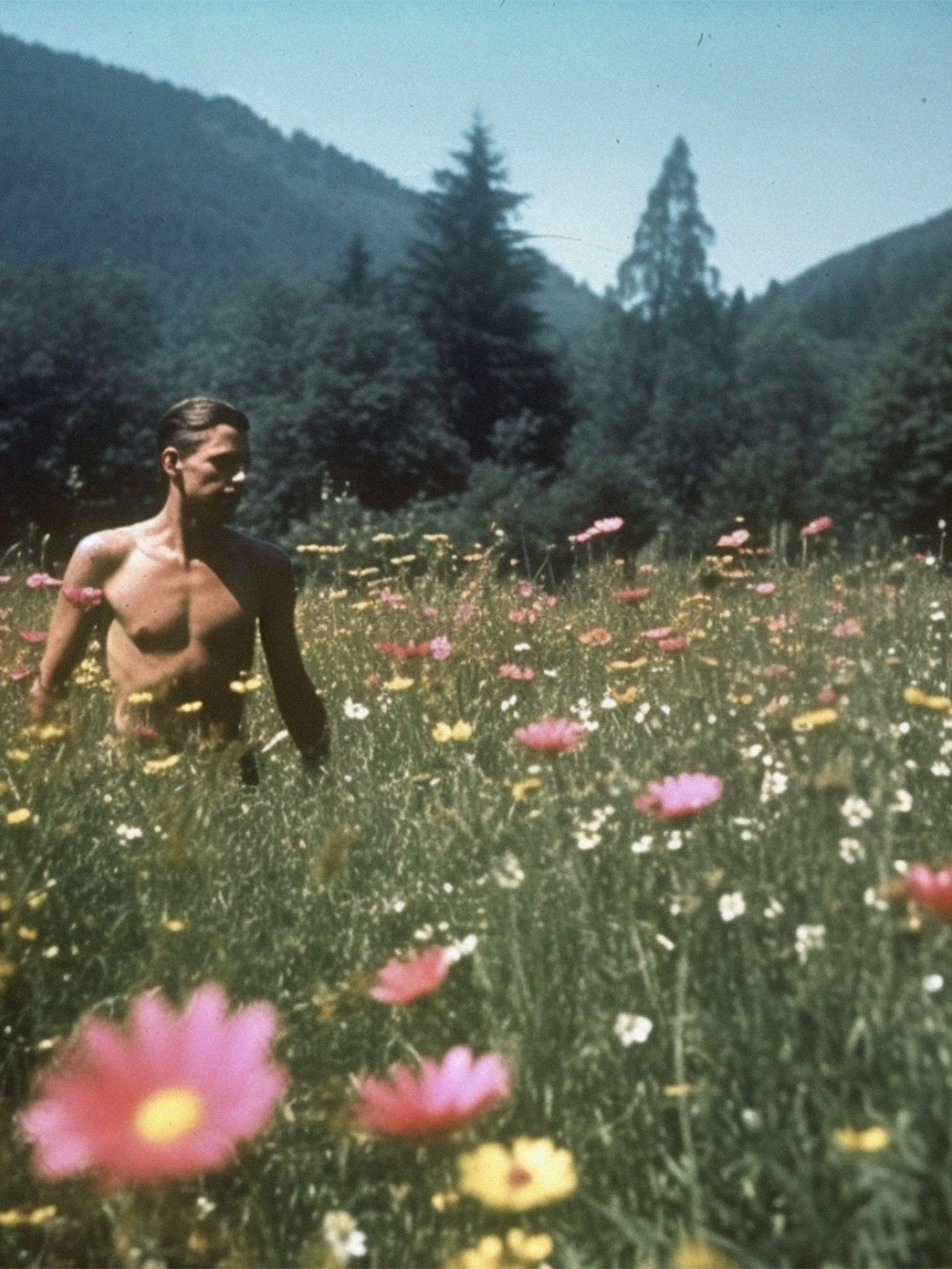 A.I. generated collaged image of a topless white man standing in a field of flowers © Sander Coers
