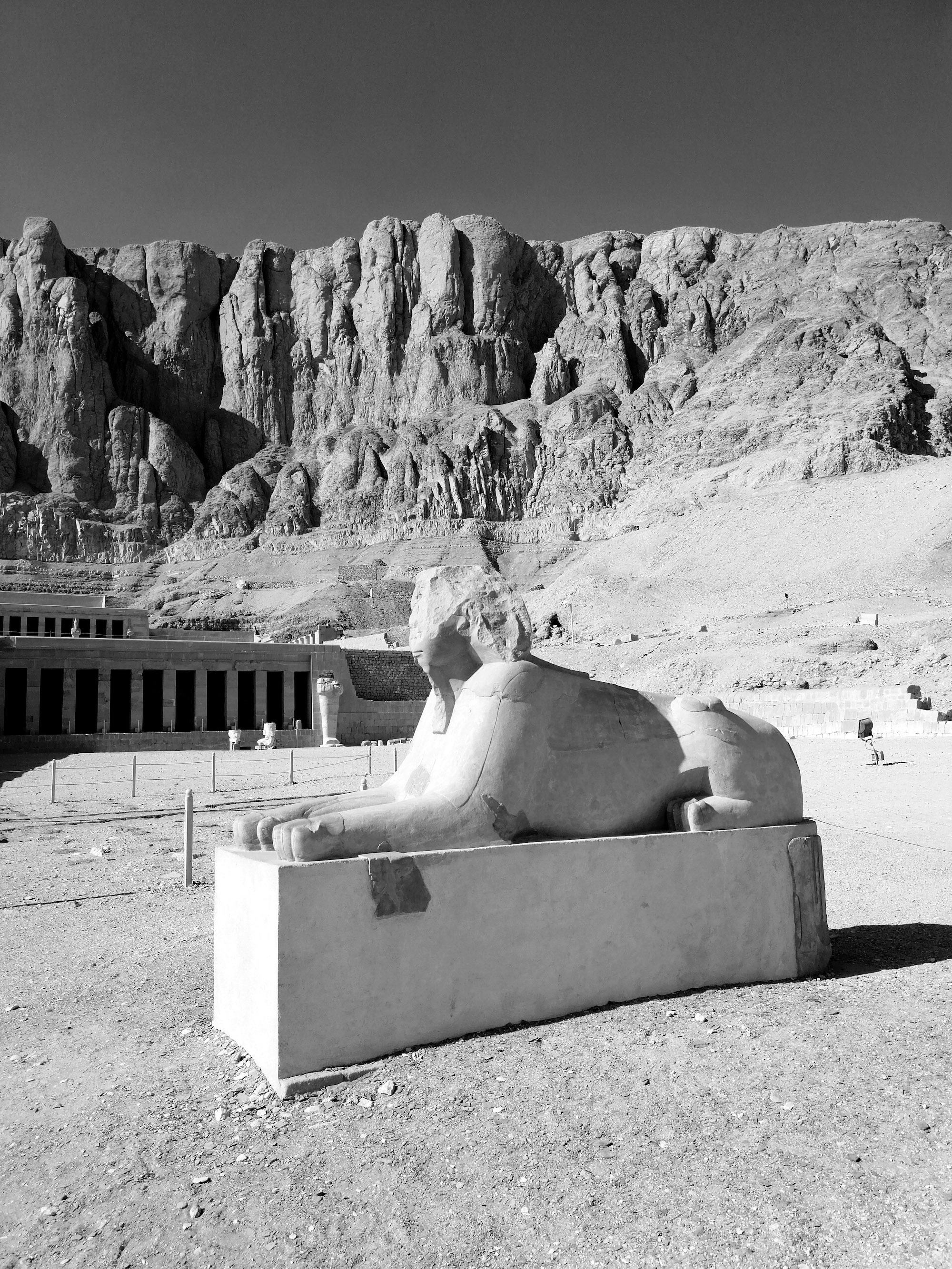 Black and white image of an excavated sphinx in Egypt