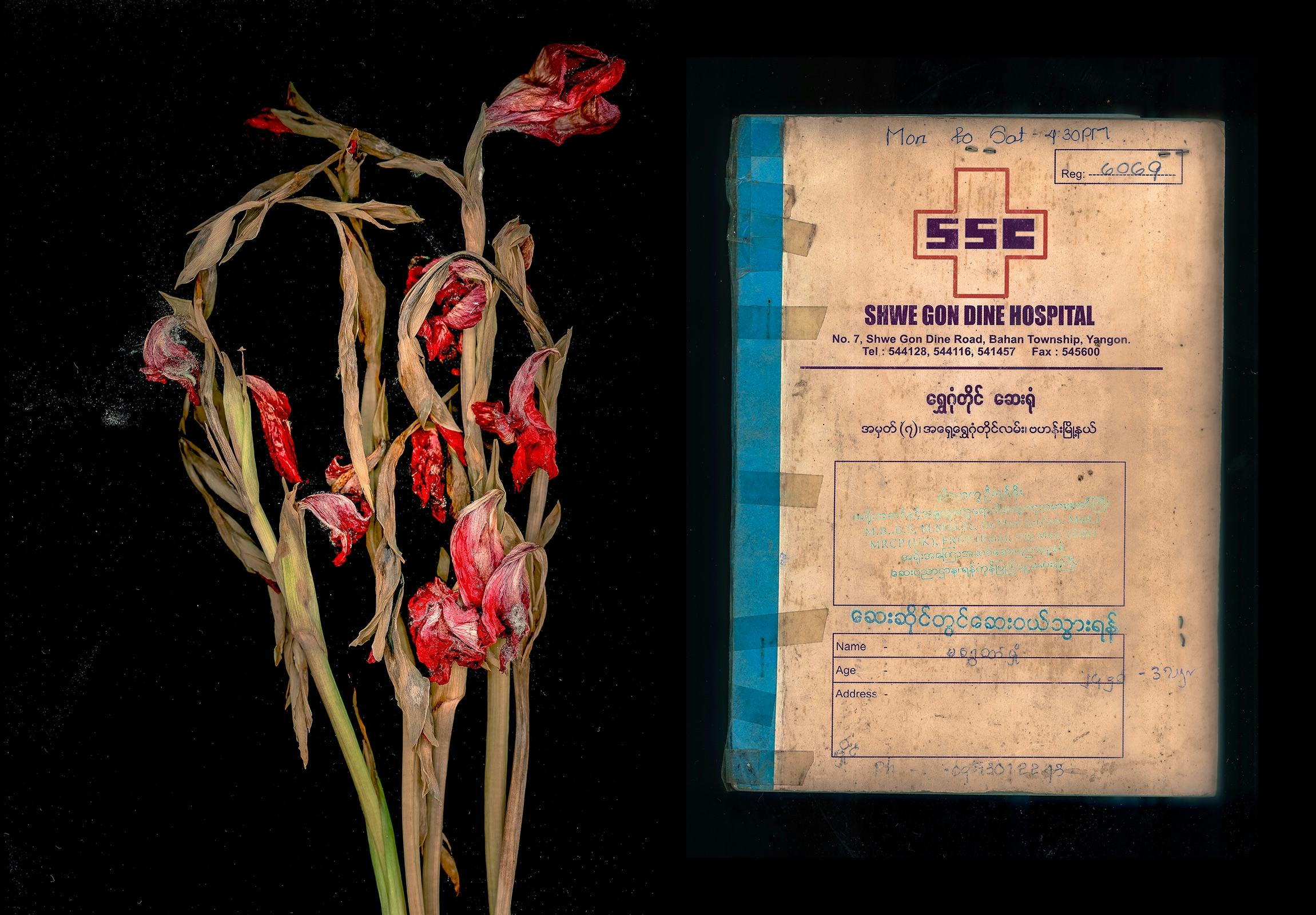 Scan of a hospital booklet and a withered bouquet of red flowers. © Shwe Wutt Hmon