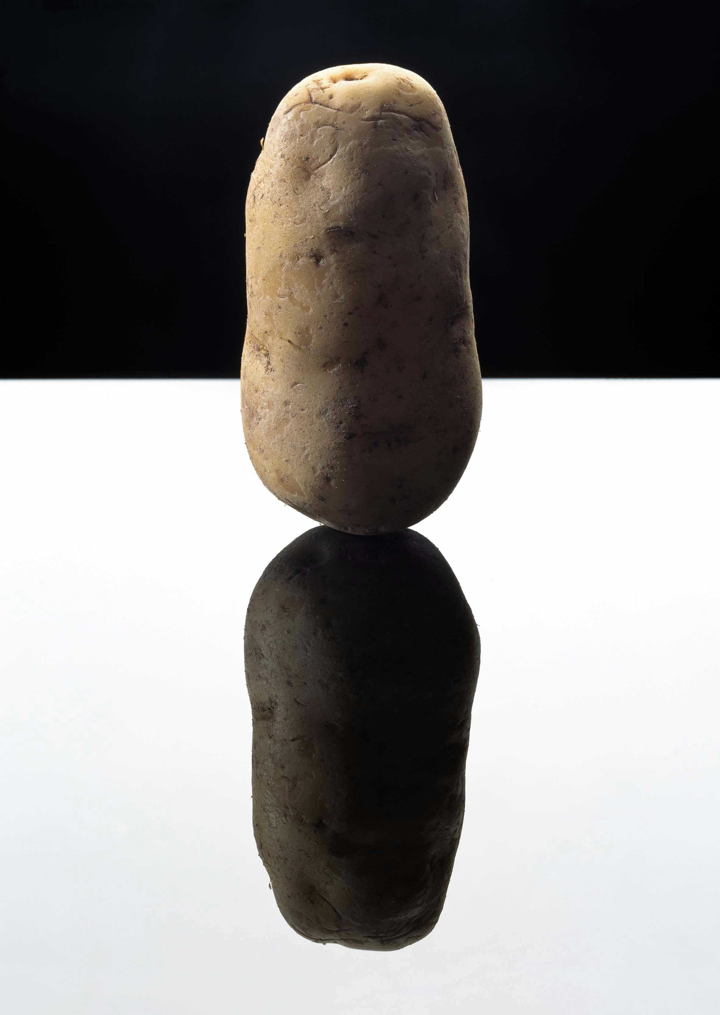 Potato, 2003 © Blommers & Schumm, courtesy of the Foam Collection