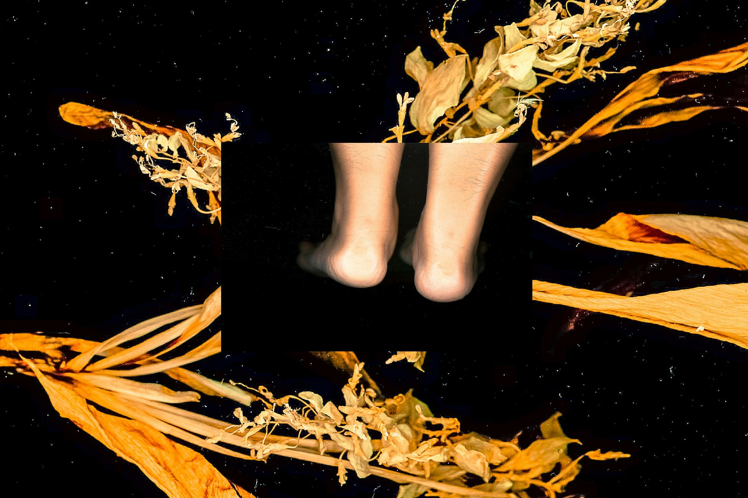 Scan of orange withered flowers, superimposed by a scan of two feet © Shwe Wutt Hmon