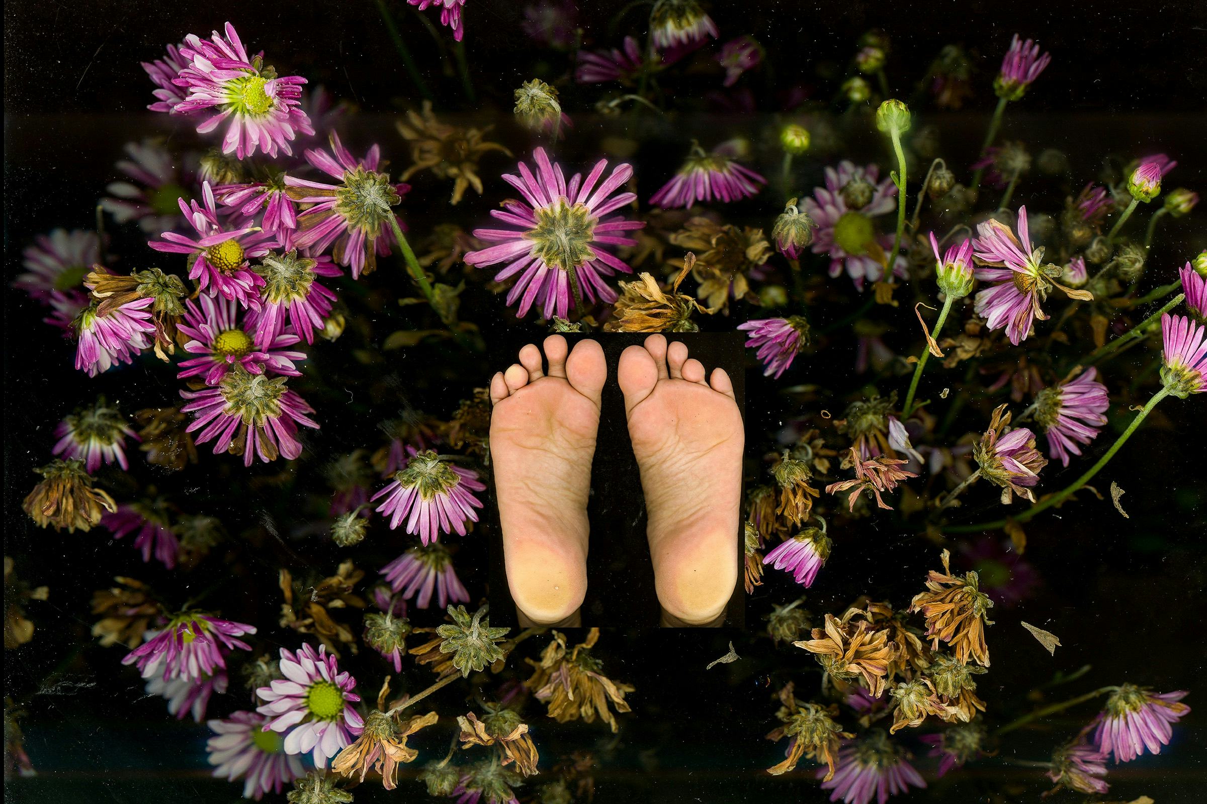 Scan of the bottom of two feet, surrounded by pink flowers © Shwe Wutt Hmon